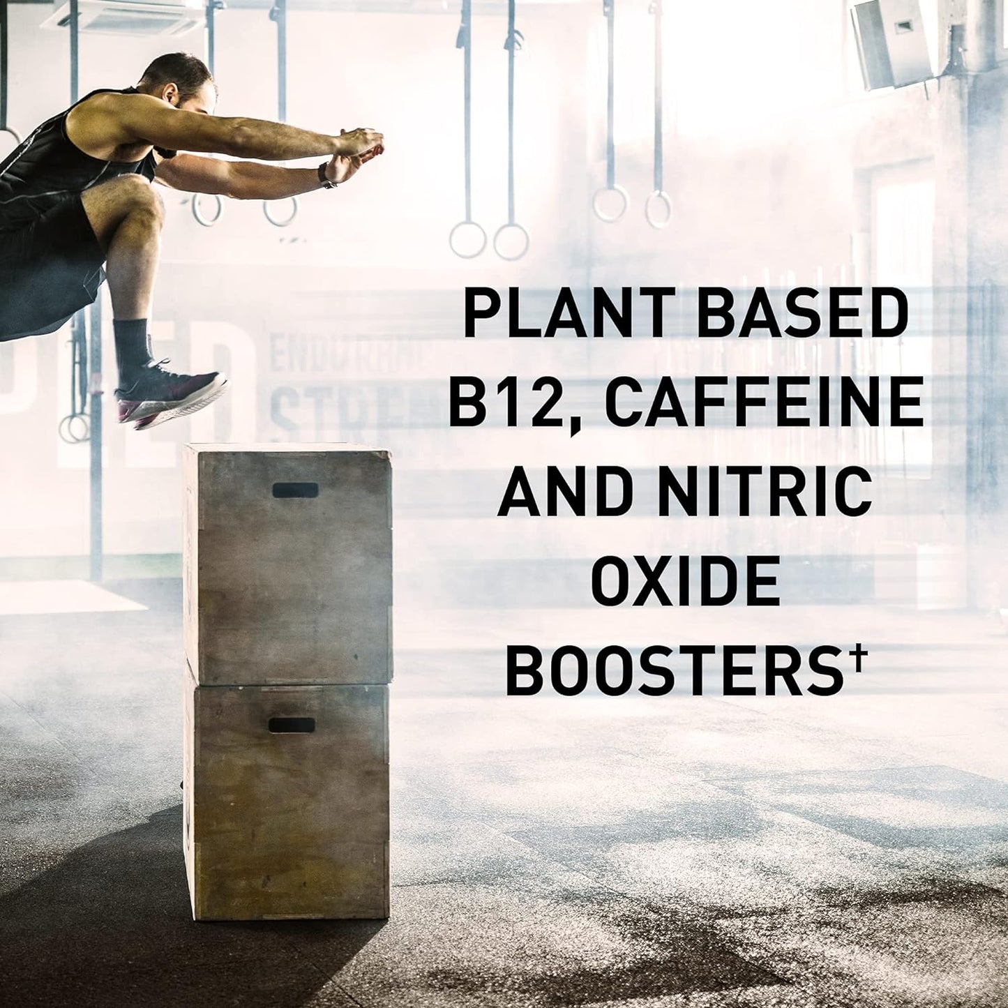 plant-based-organic-post-workout-recovery-pre-workout-energy-powder-bundle---vegan-30-servings-157-oz-40-servings-814-oz-6