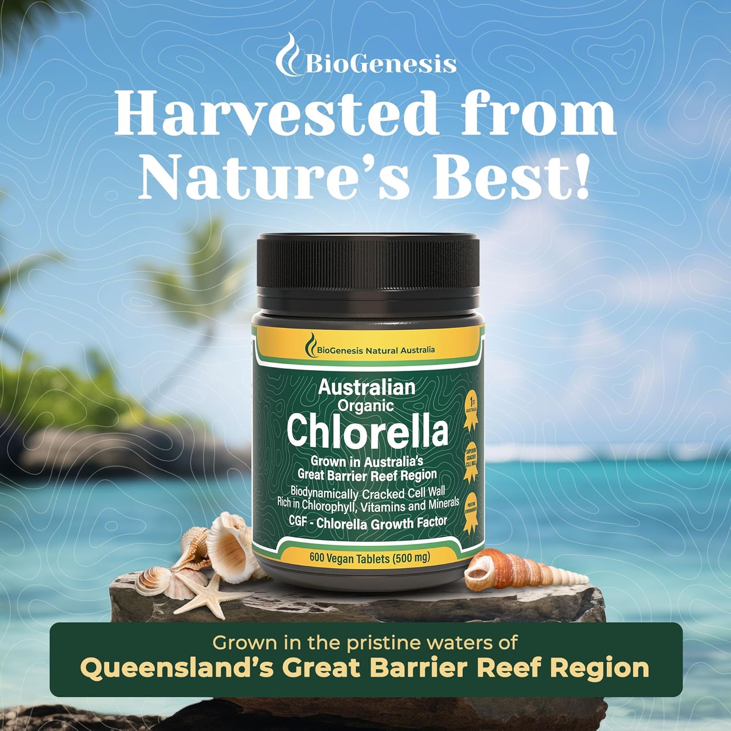 organic-biogenesis-chlorella-tablets---600-tablets-500mg---pure-natural-superfood-supplement-3
