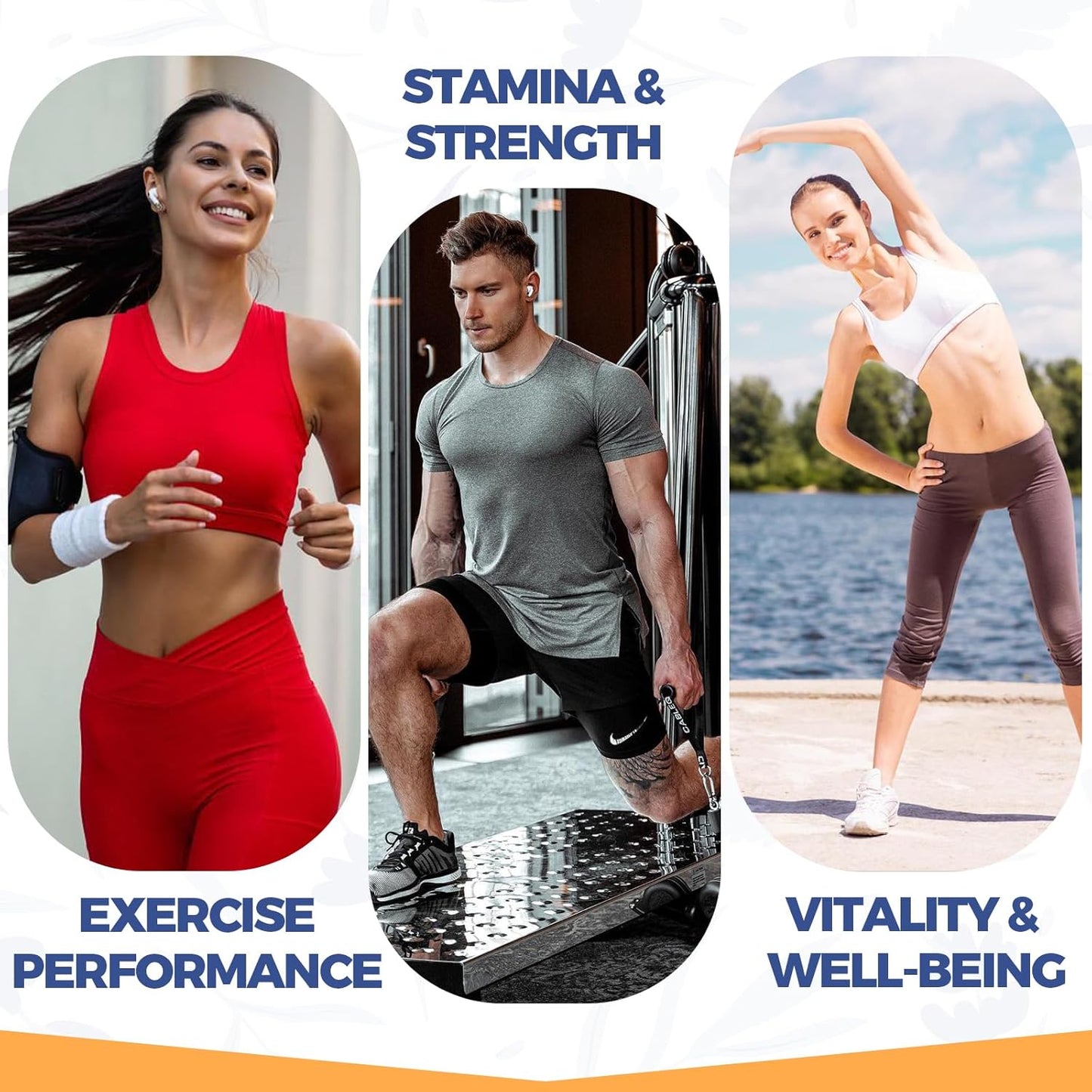 1500MG Sundhedsliv Urolithin A Supplement with Brown Rice Protein - Boost Exercise Performance & Cellular Health - Gluten Free - 60 Capsules - Espot.com.au