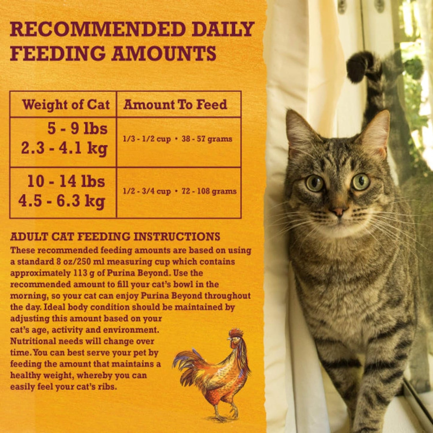5-lb-bag-of-purina-beyond-grain-free-white-meat-chicken-and-egg-recipe-natural-cat-food---high-protein-dry-formula-11