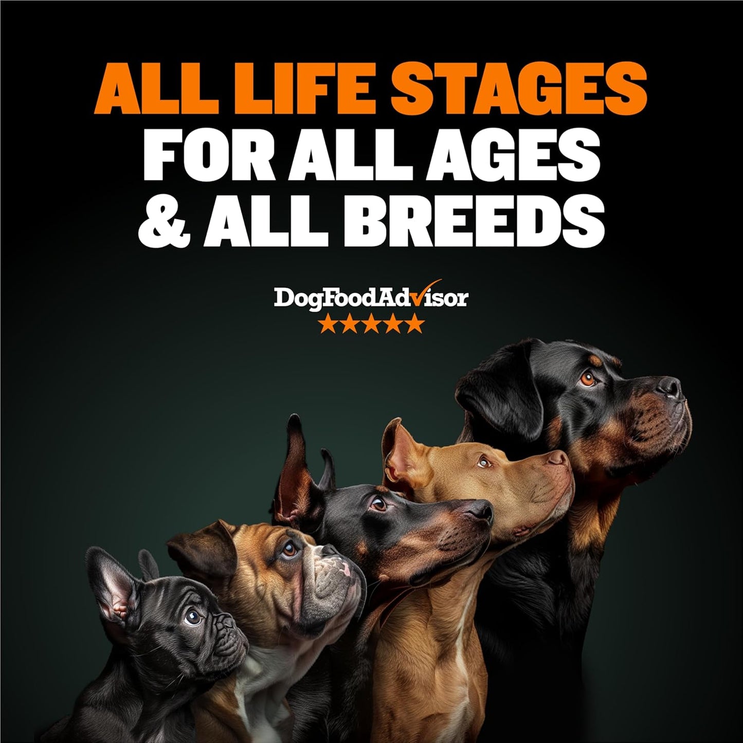 high-protein-premium-dry-dog-food-for-all-ages---bully-max-high-performance-natural-puppy-food-for-small-large-breed-puppies-adult-dogs-15-lb-bag-2