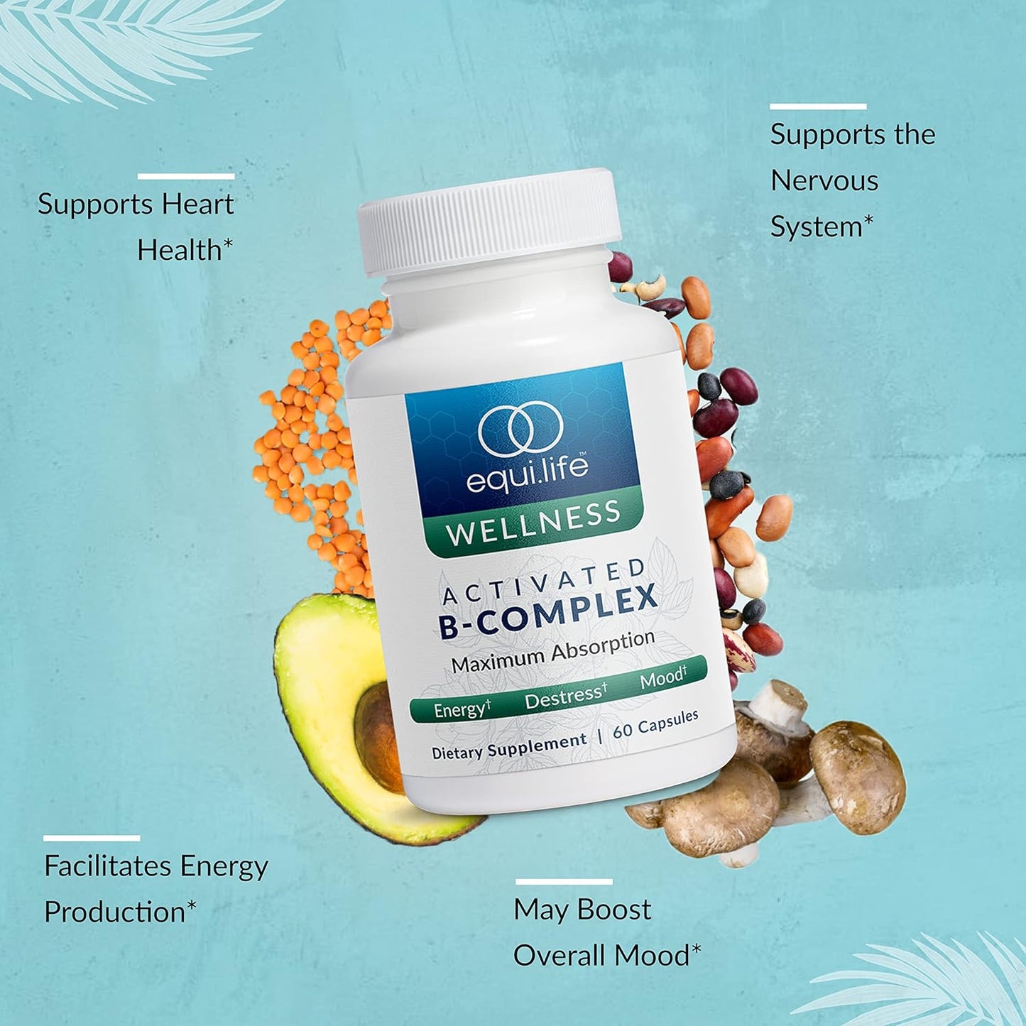 equilife-daily-wellness-bundle-activated-b-complex-full-spectrum-magnesium-multi-vitamin---60-ct-180-ct-30-servings-5