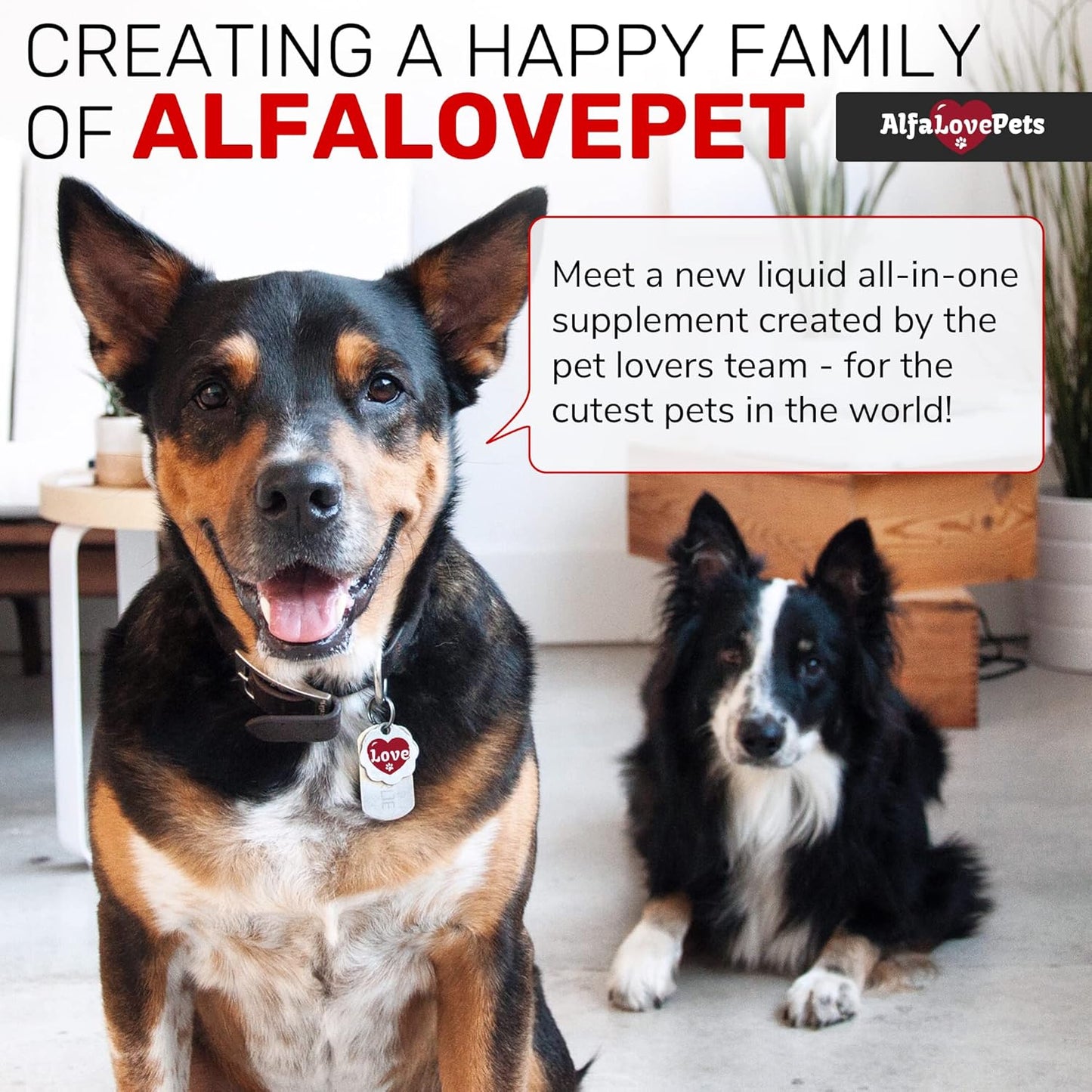 alfa-love-pets-liquid-multivitamin-for-dogs-and-cats---10-in-1-b-complex-c-d3---supports-digestion-urination-hip-joint-skin-coat---cranberry-flavor---2-oz-8