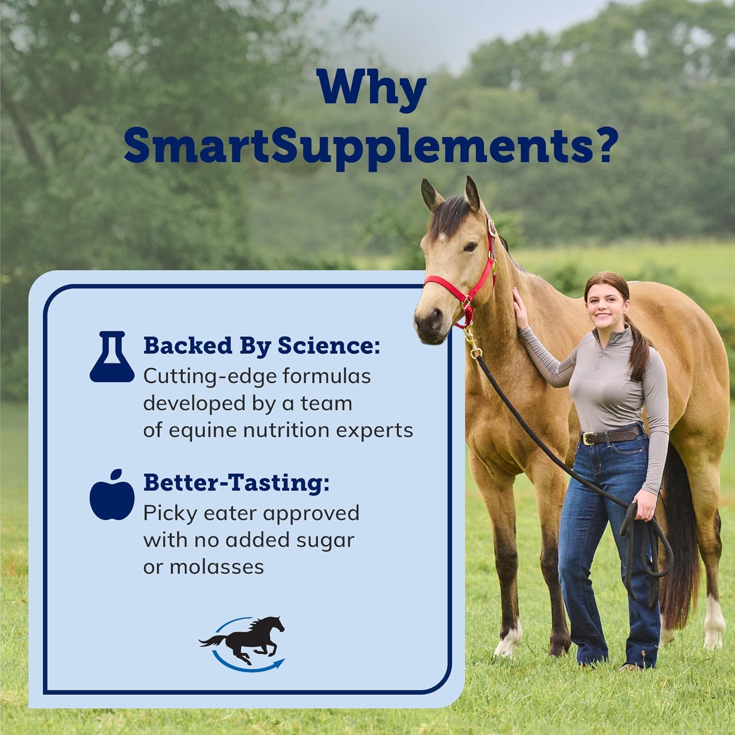 smartpak-smartcalm-ultra-paste-horse-supplements---pack-of-6-tubes-equine-calming-supplement-without-herbs-or-sugar-ideal-for-skittish-horses-7