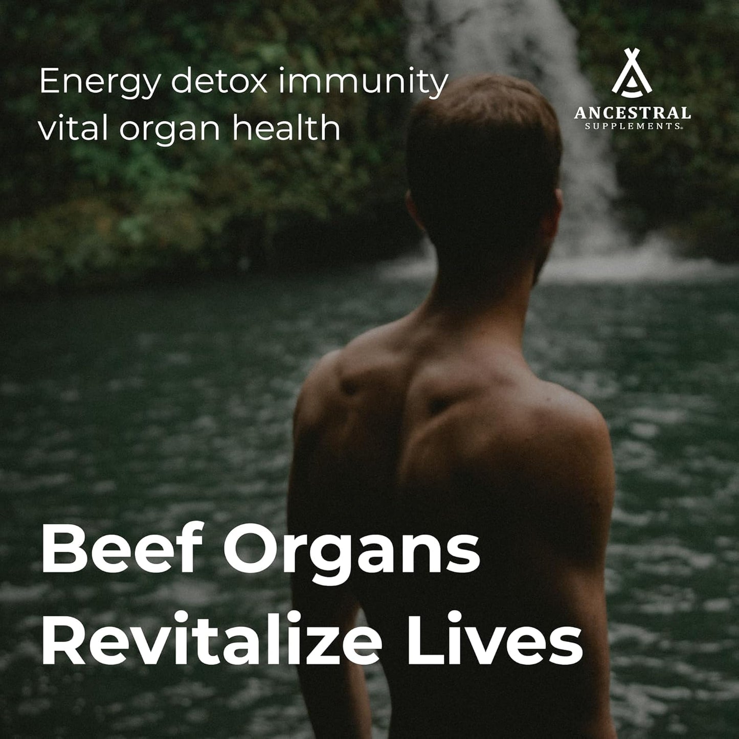 beef-organs-starter-pack---ancestral-supplements-stack-variation-with-high-quality-organ-supplements-6