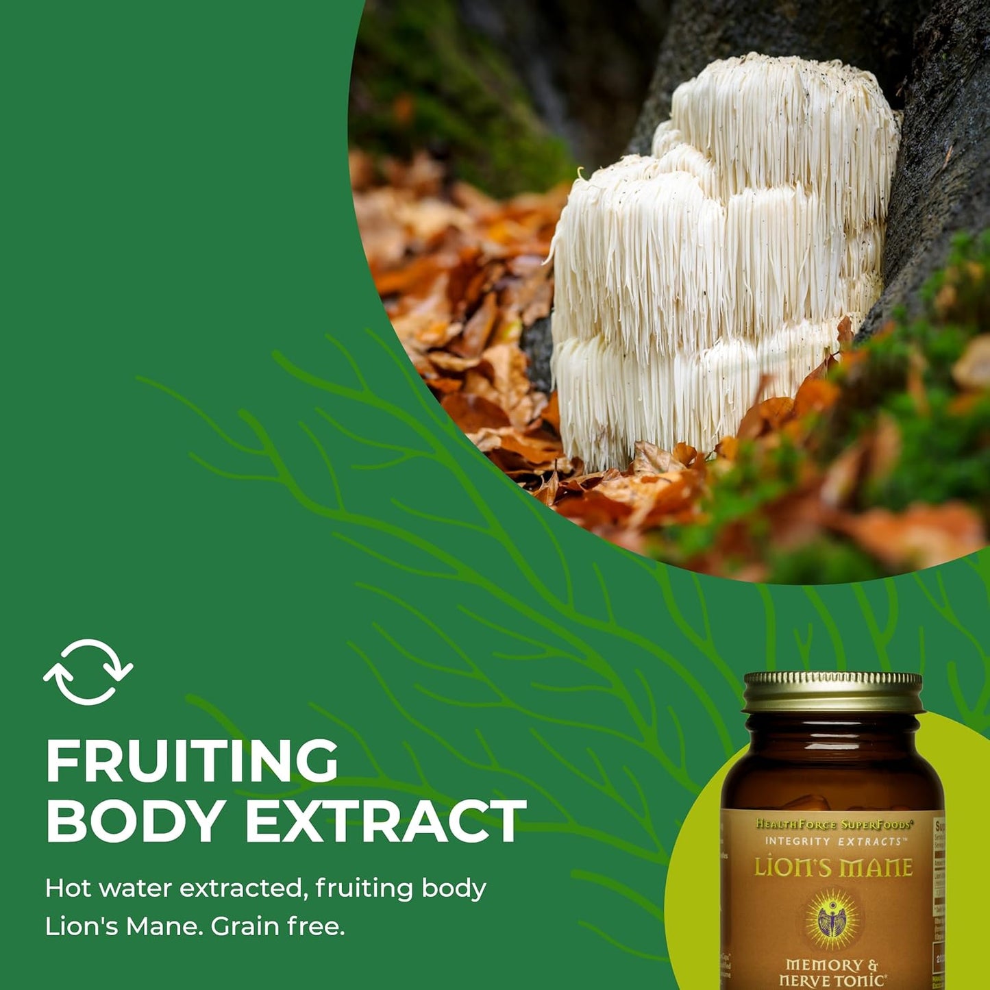 HealthForce SuperFoods Integrity Extracts Lion's Mane Capsules - 90 Vegan Capsules for Cognitive Support and Overall Wellness - Espot.com.au