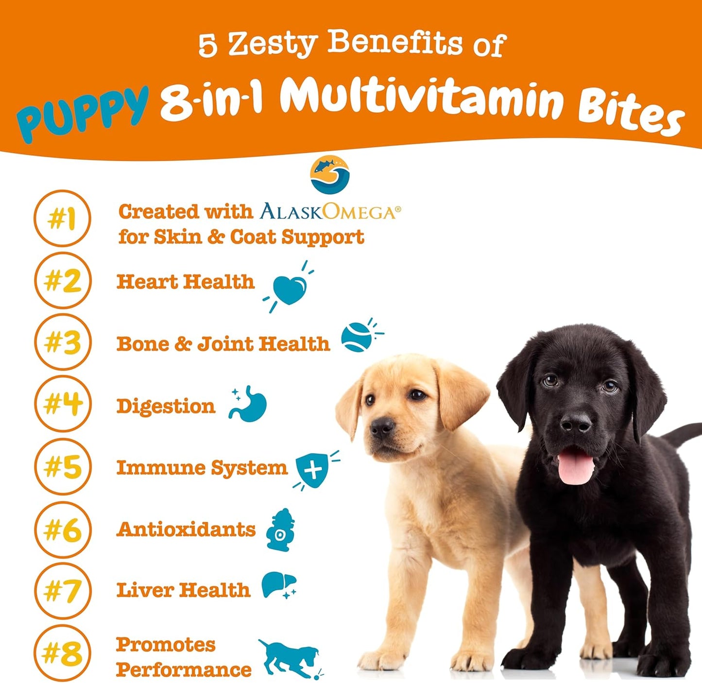 grain-free-dog-multivitamin-treats-with-glucosamine-chondroitin-digestive-enzymes-and-probiotics-for-joint-skin-coat-and-immune-health---90-count-2