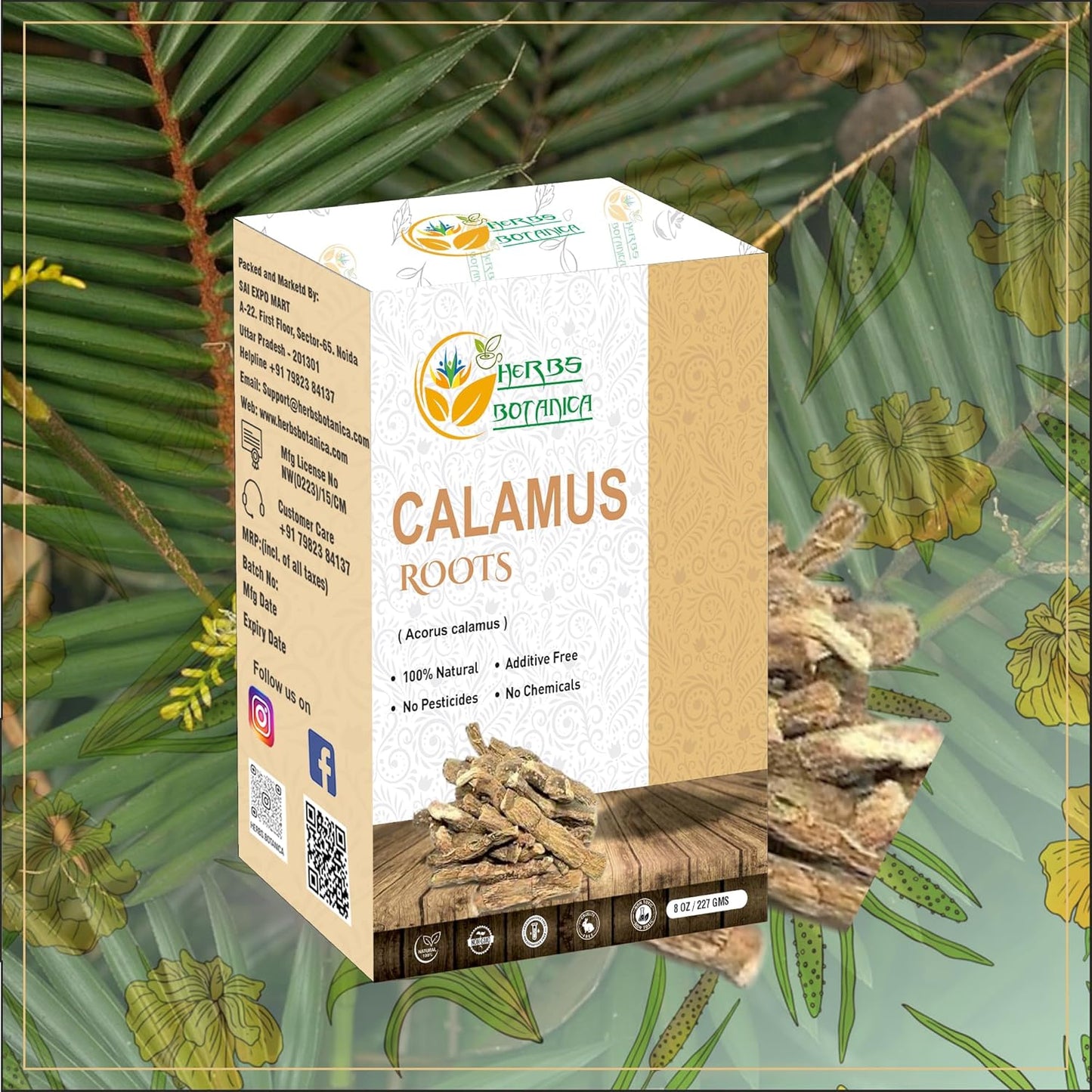 calamus-root-loose-dried-herb---skin-stomach-health-benefits-herbal-tea---8-oz-12-lb---sweet-flagvachavasambu---herbs-botanica-8