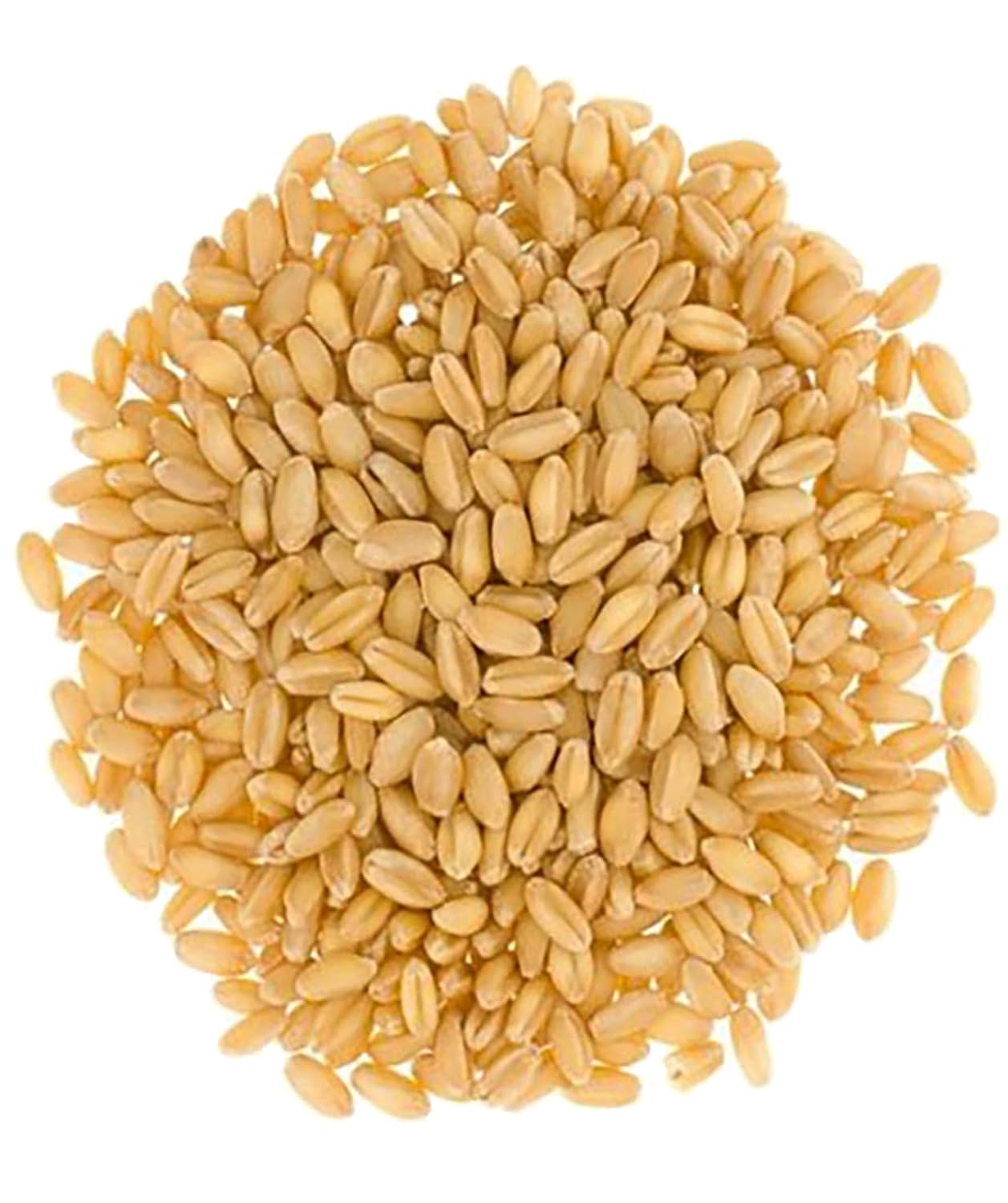 certified-glyphosate-residue-free-hard-white-wheat-berries---5-lbs---non-gmo-non-irradiated-kosher---family-farmed-in-washington-state---field-traced---burlap-bag-2