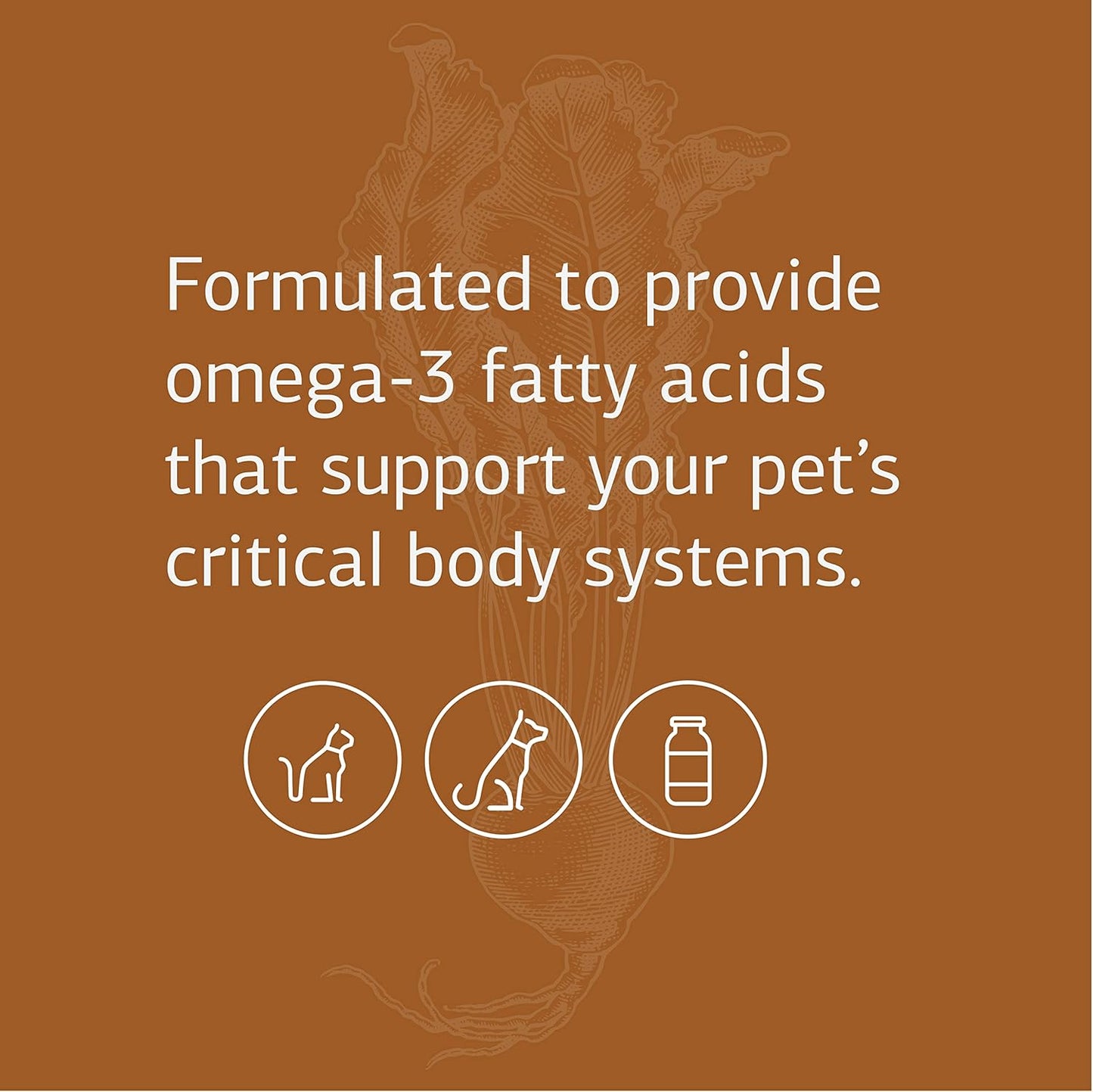standard-process-vf-omega-3-fish-oil-supplement-for-pets---supports-bone-growth-immune-heart-health---90-softgels-3