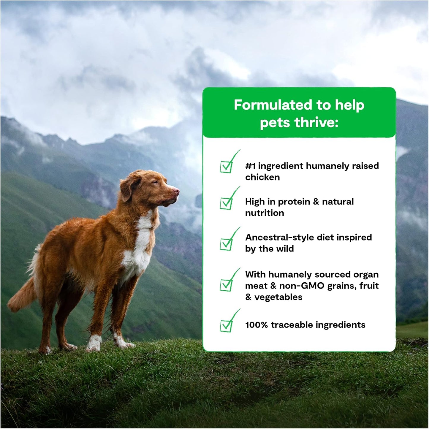 open-farm-rawmix-ancient-grains-prairie-recipe-for-dogs---kibble-bone-broth-freeze-dried-raw---wild-inspired-humanely-raised-protein---non-gmo-fruits-veggies---35-lb-4