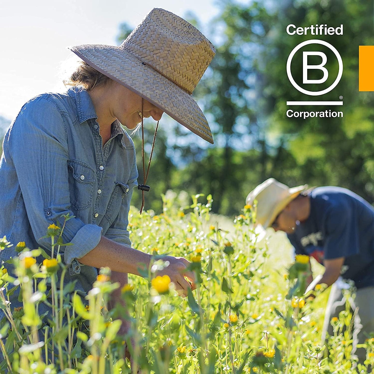 herb-pharm-oregon-grape-root-extract---4-oz-liquid-supplement-7