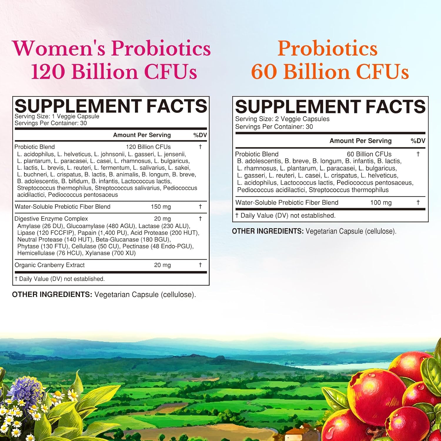 womens-probiotic-bundle-120-billion-60-billion-count---shelf-stable-for-digestive-womens-health---30-servings-per-item---vitalitown-2