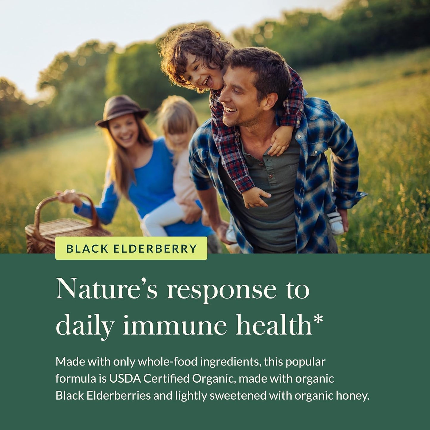 organic-black-elderberry-syrup-for-immune-support---usda-certified---54-fl-oz---32-day-supply---gaia-herbs-5