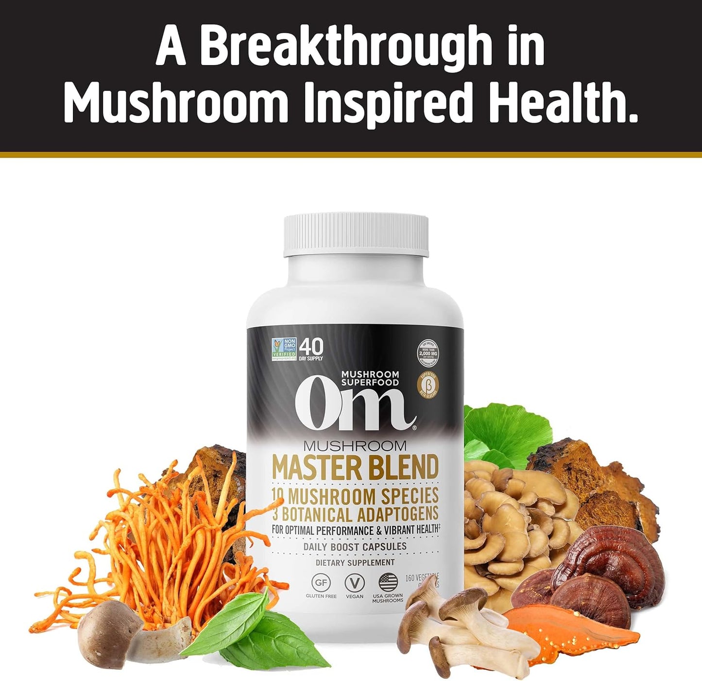 om-mushroom-superfood-capsule-bundle---master-blend-lions-mane-340-capsules-2