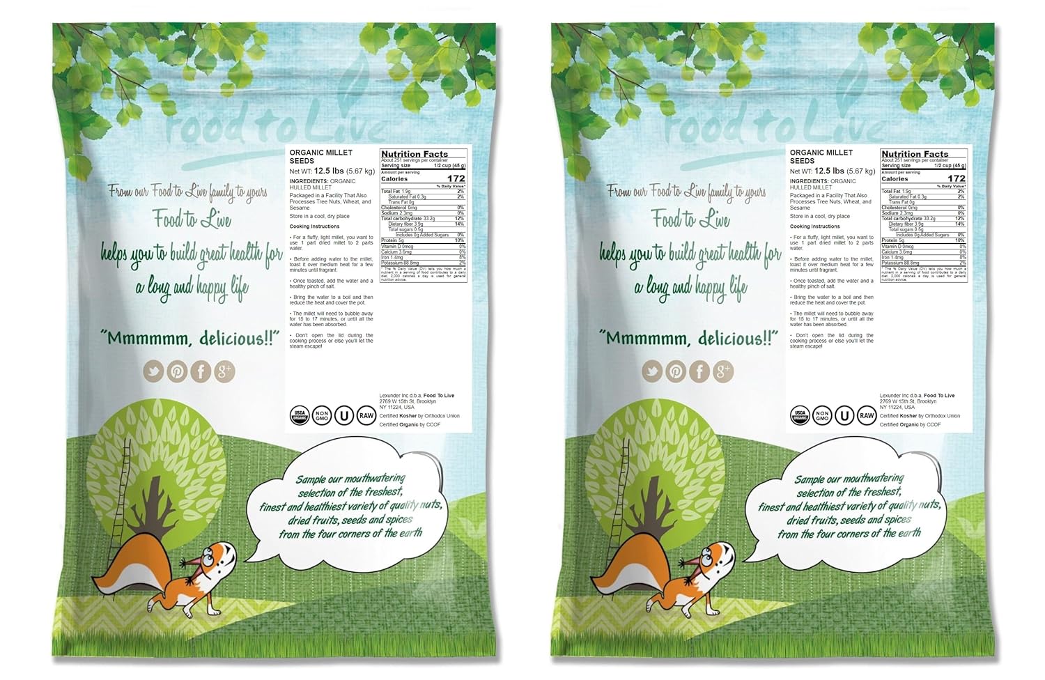 organic-hulled-millet-seeds---25-pounds-bulk-non-gmo-kosher-raw-whole-grain-from-usa-2