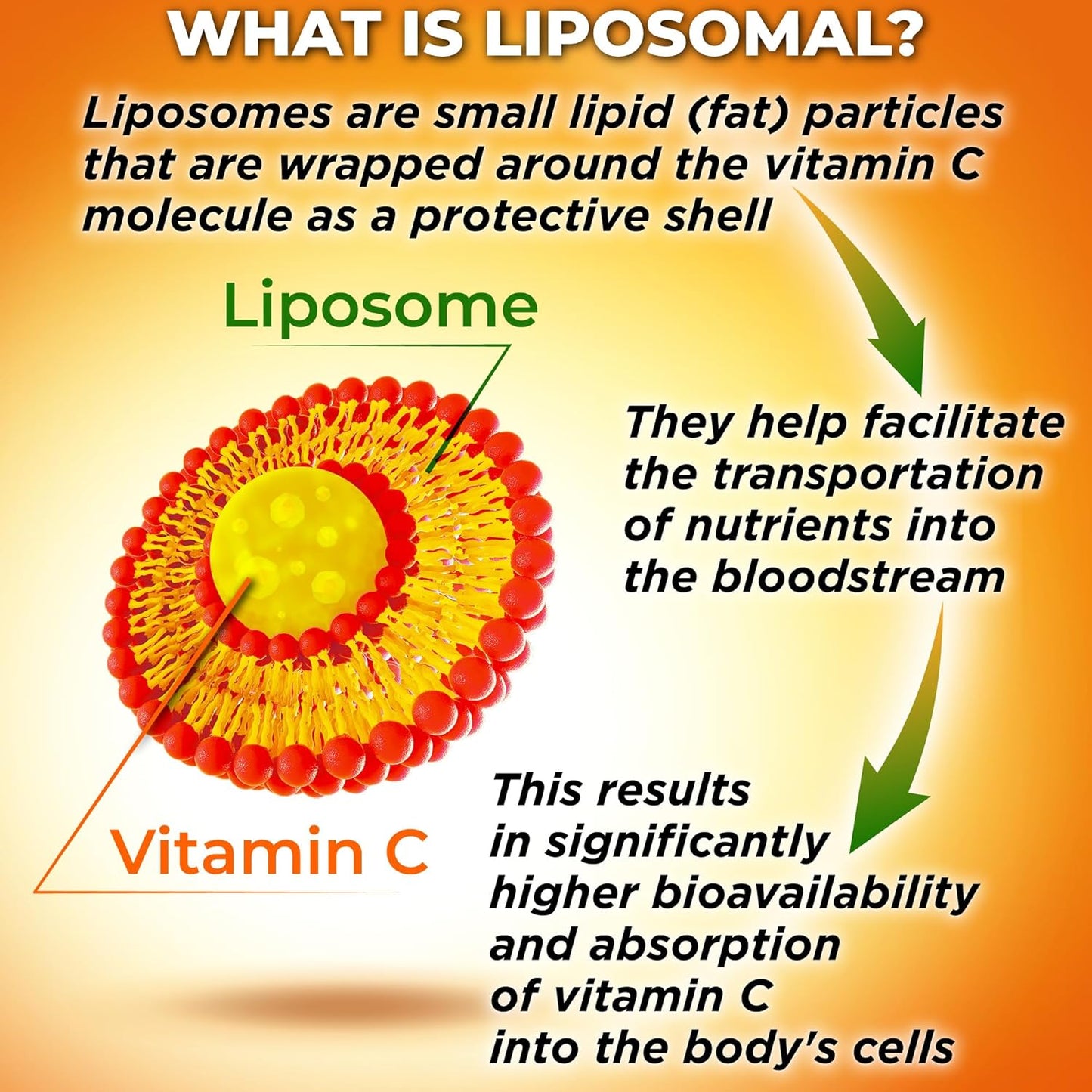 bundle-liposomal-vitamin-c-1500mg-capsules-glutathione-500mg-supplement-quercetin-with-bromelain-vitamin-c-and-zinc---organic-whole-food-formula-for-antioxidant-support-and-detoxification-2
