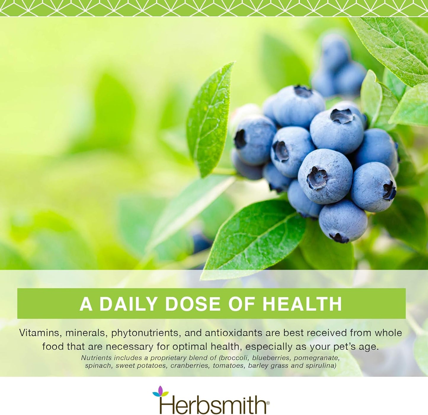 herbsmith-nutrients-superfood-dog-multivitamin-with-whole-foods-antioxidants-vitamins-minerals---65-oz-6