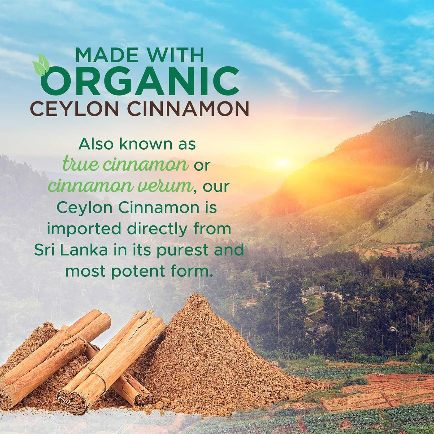 certified-organic-cinnamon-capsules-1800mg---pure-ceylon-supplement---non-gmo-gluten-free-vegan---antioxidant-pills---120-count-6