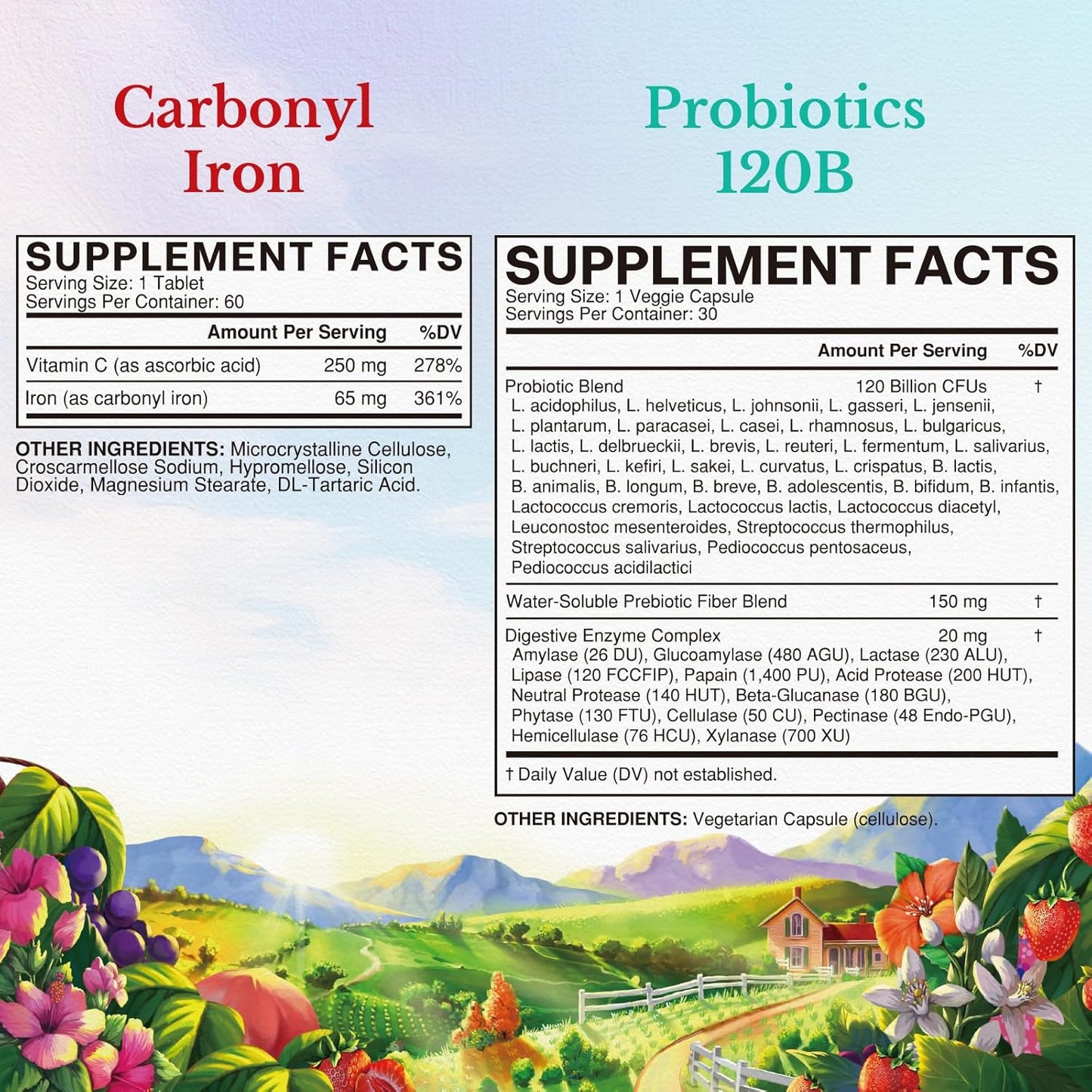 vitalitown-probiotic-and-iron-supplement-bundle---120-billion-probiotics-and-65mg-iron---vegan-capsules-and-tablets-for-gut-bone-muscle-blood-building-energy---3060-pack-2