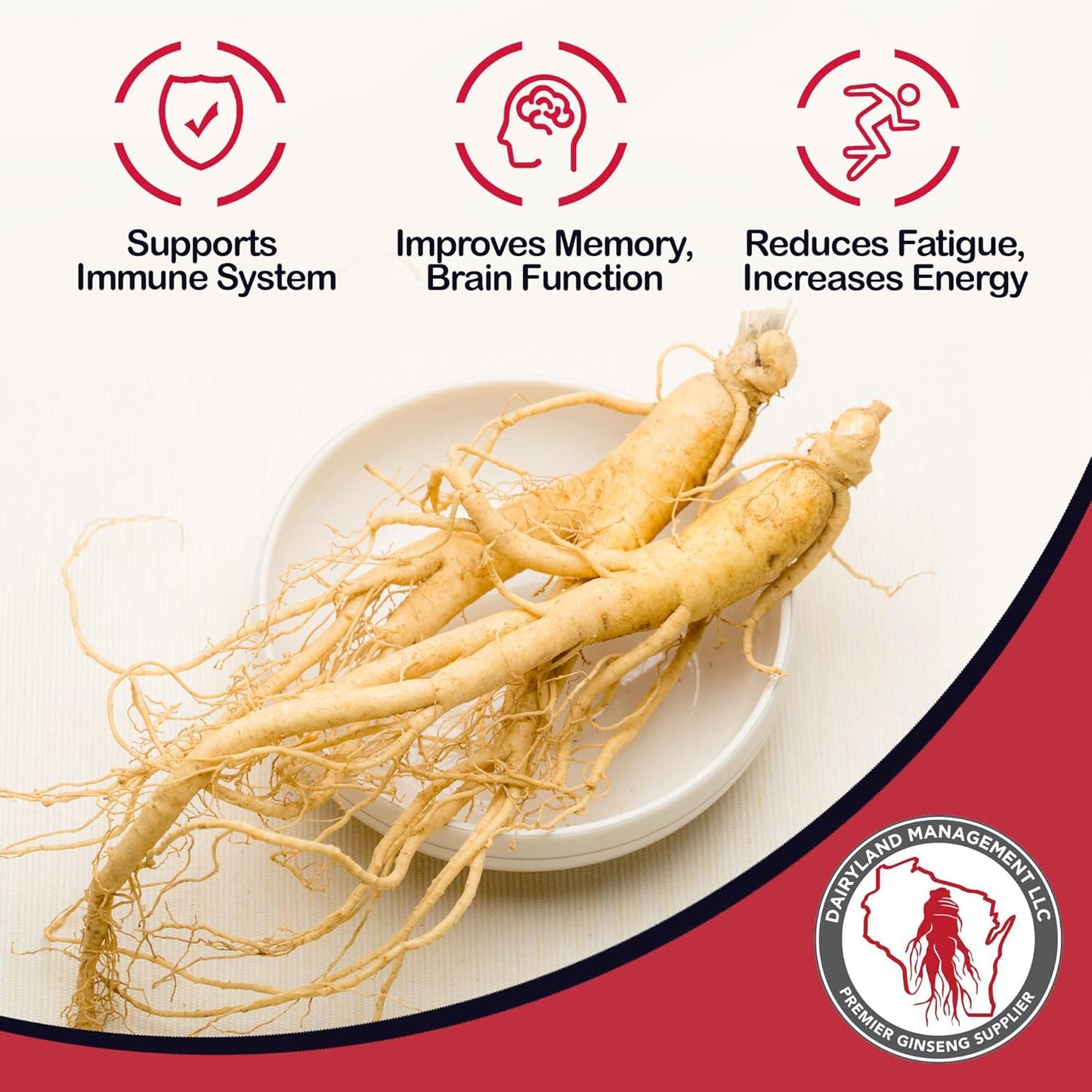 16-oz-pack-of-dairyland-american-ginseng-slices-and-roots-from-wisconsin-farmer---direct-to-you-3