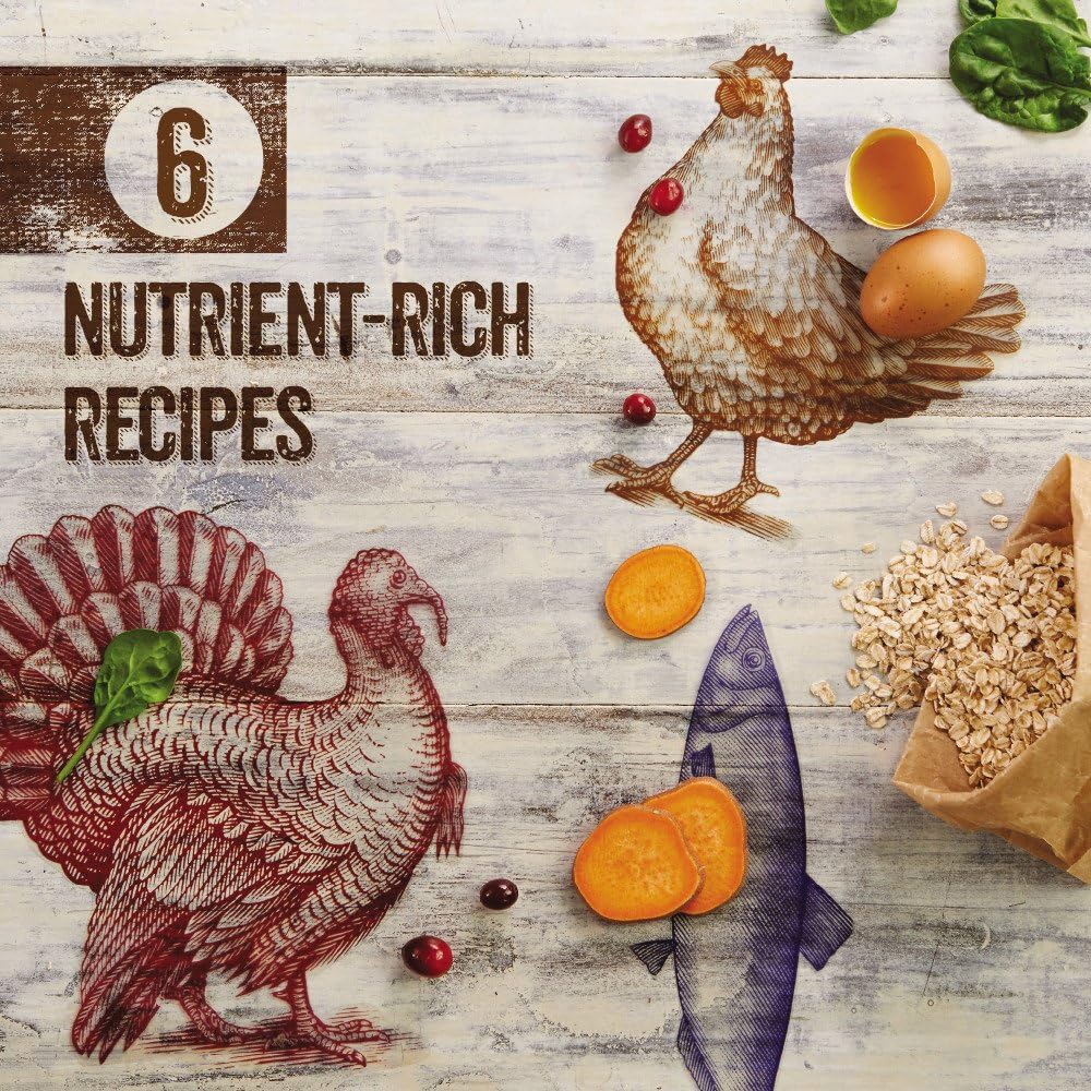 5-lb-bag-of-purina-beyond-grain-free-white-meat-chicken-and-egg-recipe-natural-cat-food---high-protein-dry-formula-13