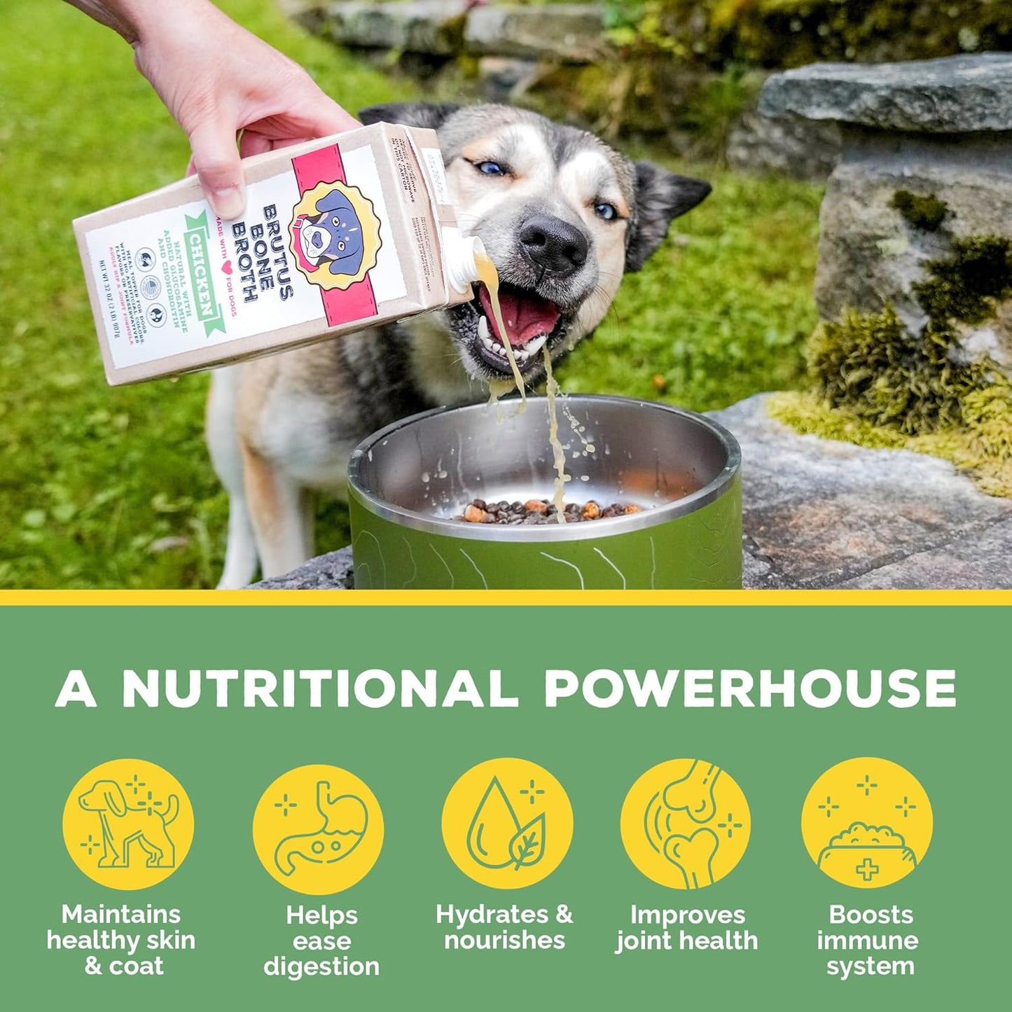 brutus-chicken-bone-broth-for-dogs---all-natural-broth-with-chondroitin-glucosamine-turmeric---human-grade-dog-food-topper---pack-of-2-4