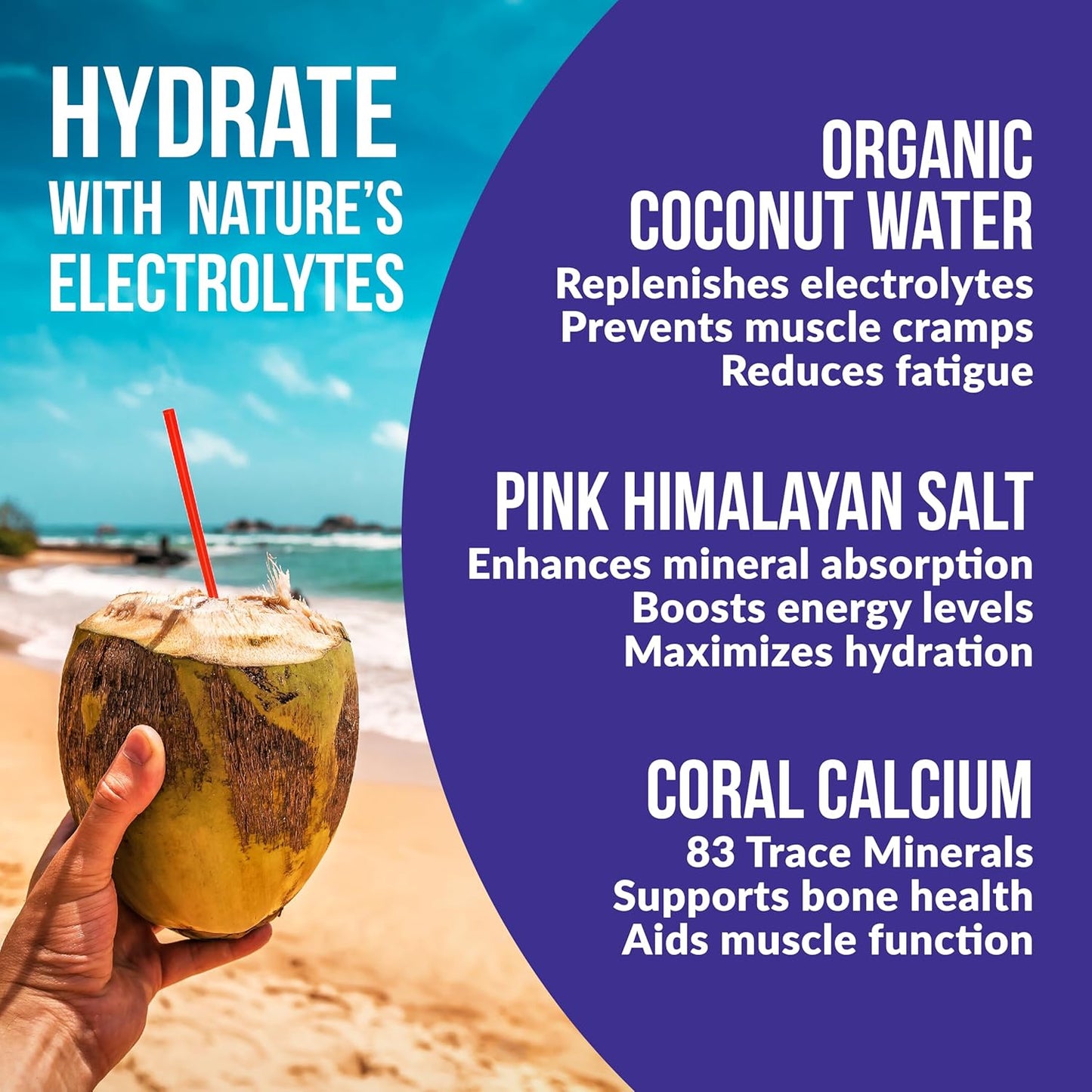 wildberry-electrolyte-powder---hydrate-naturally-with-real-fruit-5-key-electrolytes-vitamins-trace-minerals-non-gmo---30-servings-4