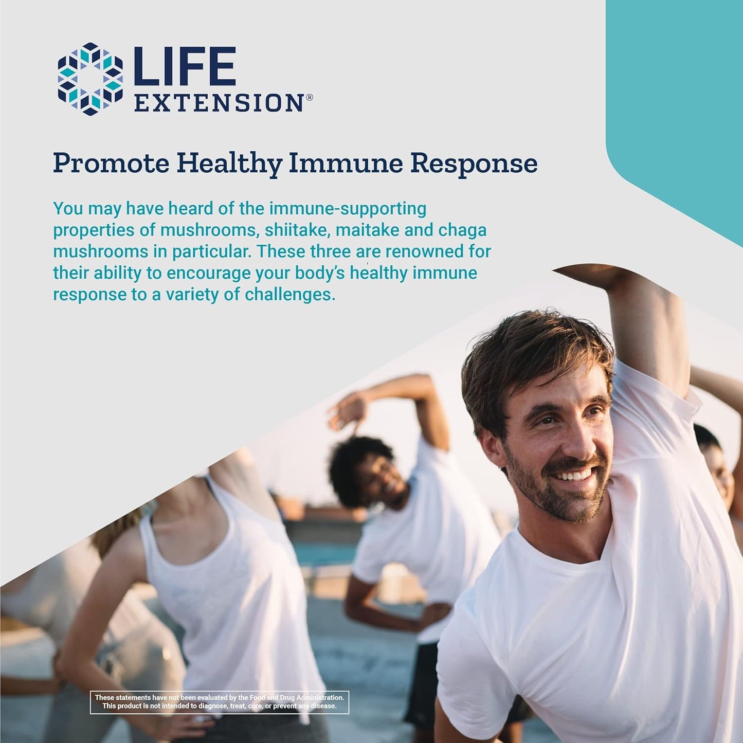 mushroom-immune-support-supplement-with-beta-glucans-for-longevity-7