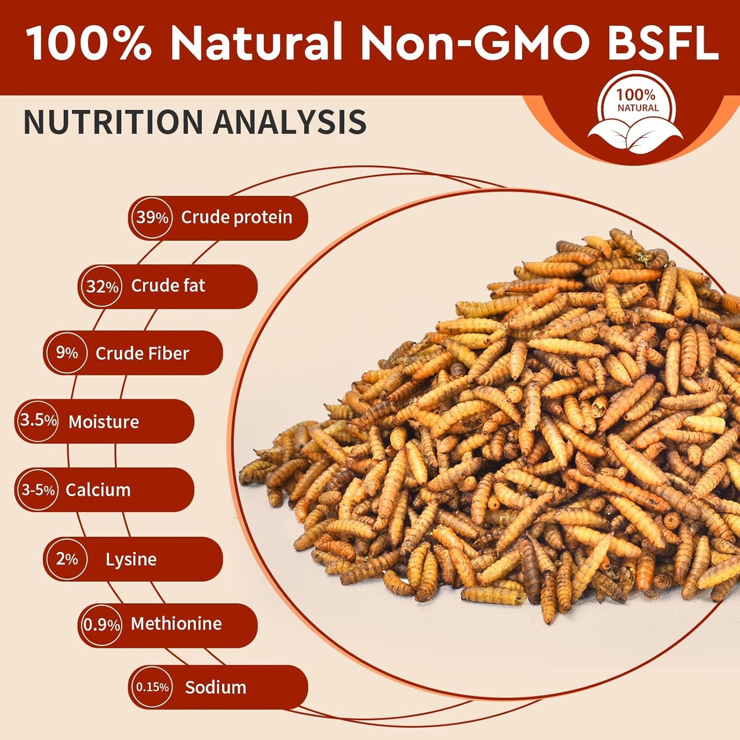 5lb-buntie-worms-dried-black-soldier-fly-larvae---high-protein-chicken-feed-non-gmo-calcium-rich-treat-for-laying-hens-ducks-wild-birds---100-natural-5