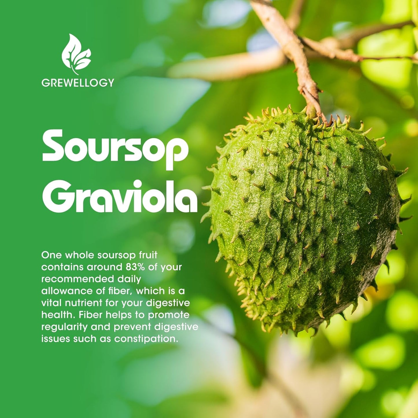 soursop-graviola-liquid-drops-supplement-for-cell-support-skin-sleep-immune-boost---1800mg-soursop-leaf-fruit-extract---2-fl-oz-4