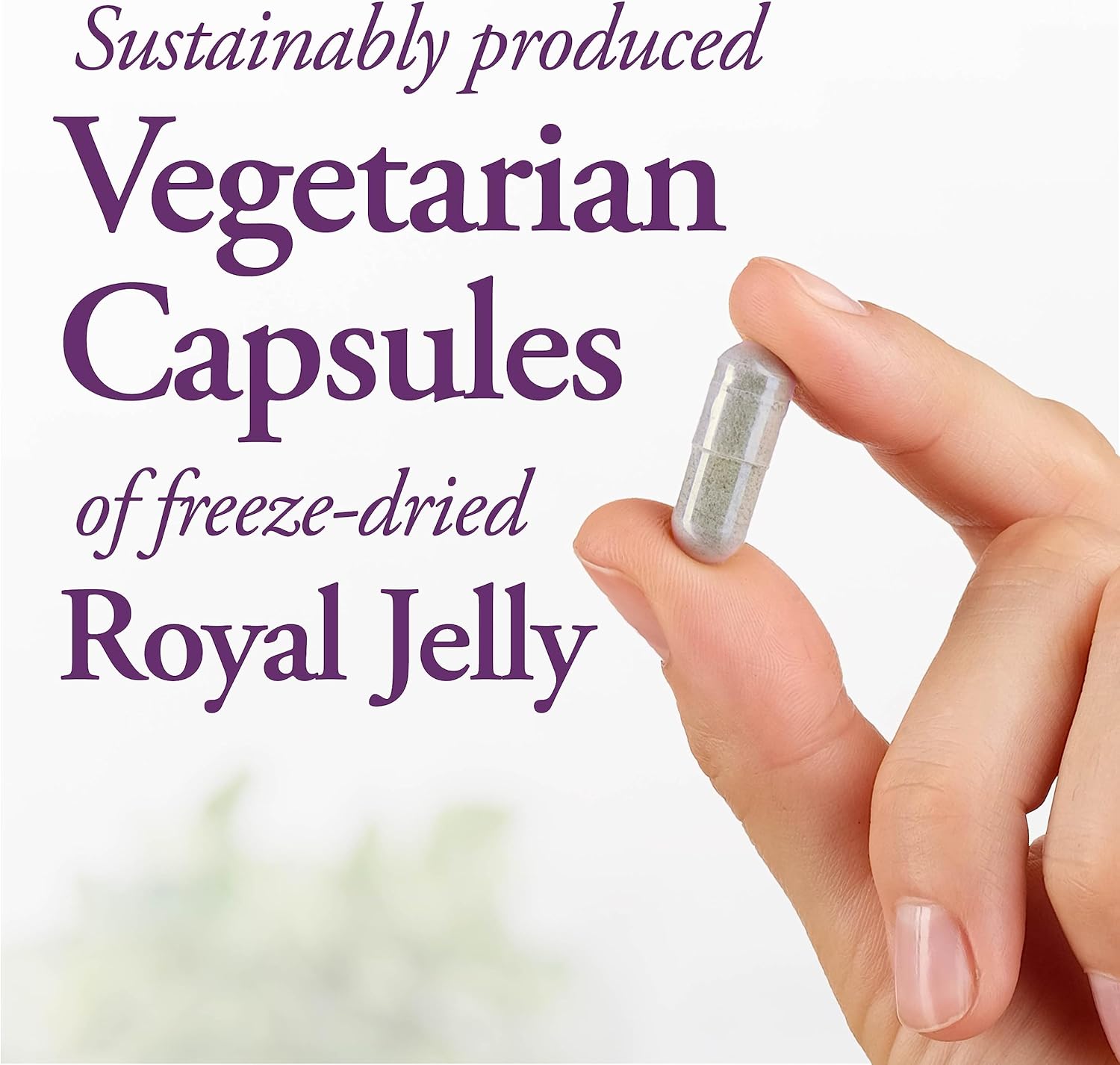 premium-dutchmans-gold-royal-jelly-capsules---1000-mg-90-count---high-quality-bee-product-for-immune-support-and-overall-health-4