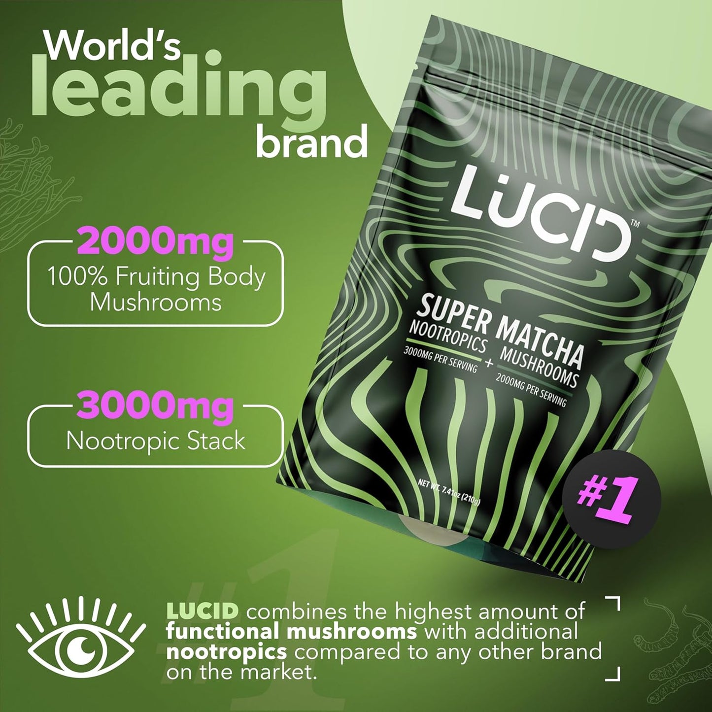 organic-mushroom-matcha-with-nootropics-for-focus-and-brain-health---lions-mane-tremella-cordyceps-turkey-tail---alpha-gpc-l-theanine-ginko-biloba---usa-made-3