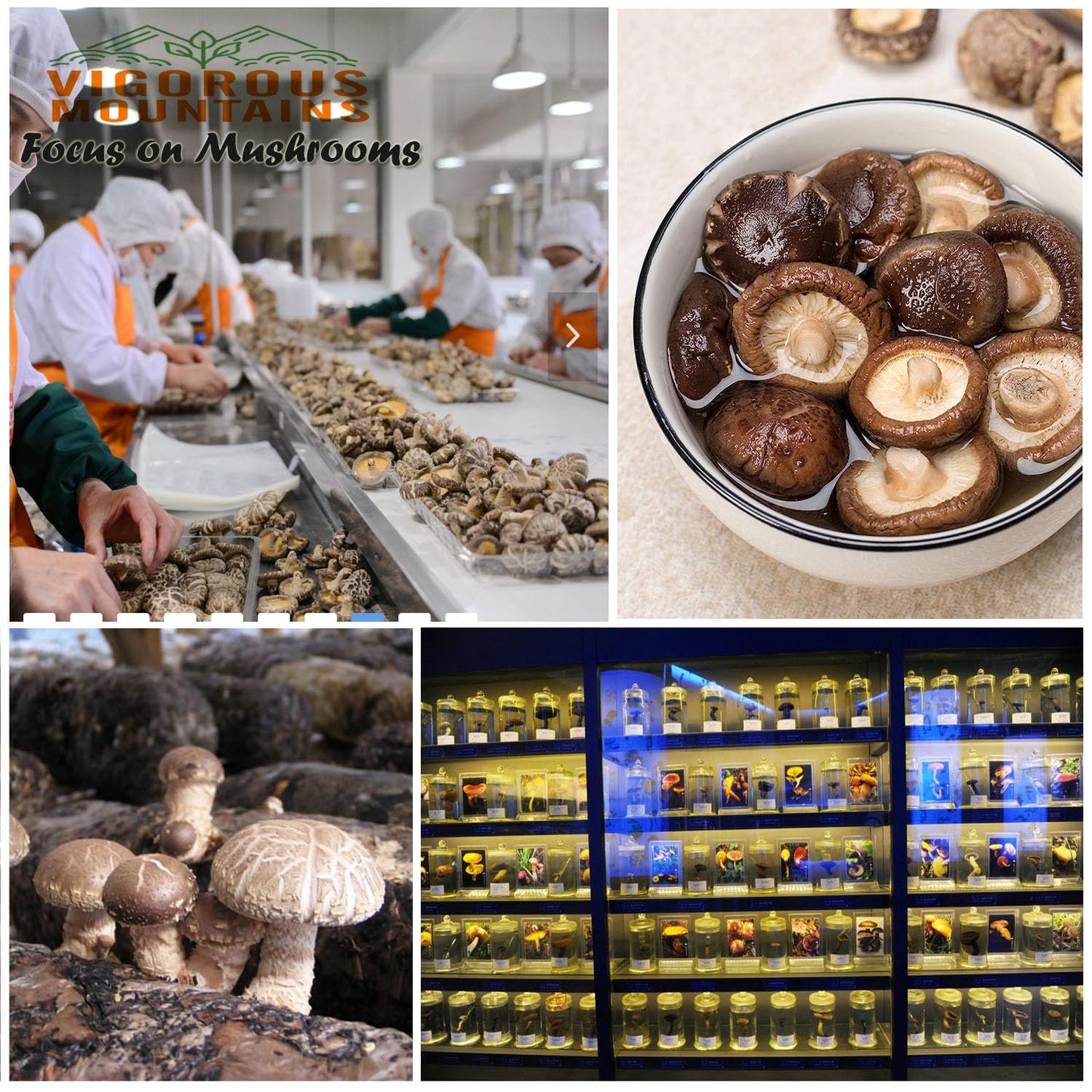 high-quality-dried-shiitake-mushrooms-for-cooking---2-3cm-dehydrated-vegan-sulfur-free-15oz-pack-3
