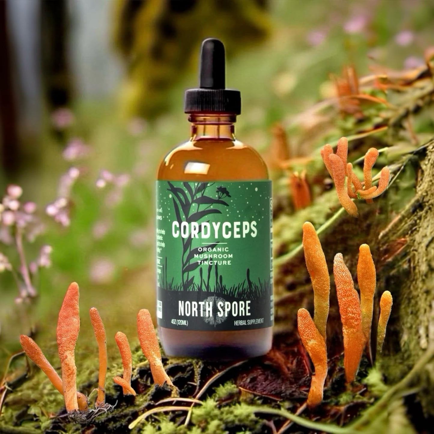 organic-cordyceps-militaris-extract-tincture-for-energy-endurance---2oz-liquid-drops-non-gmo-vegan-100-fruiting-bodies---north-spore-5