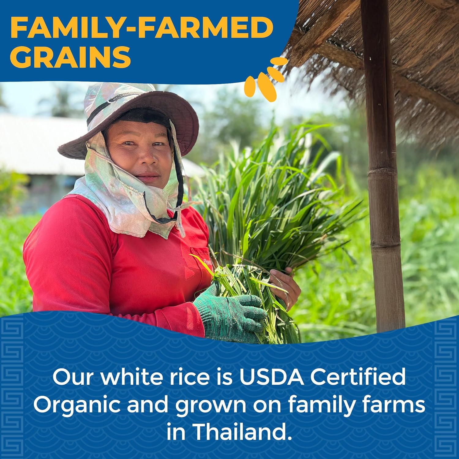 organic-white-jasmine-rice---long-grain-sticky-rice-gluten-free-usda-organic-vegan---30-oz-pack-of-6-6