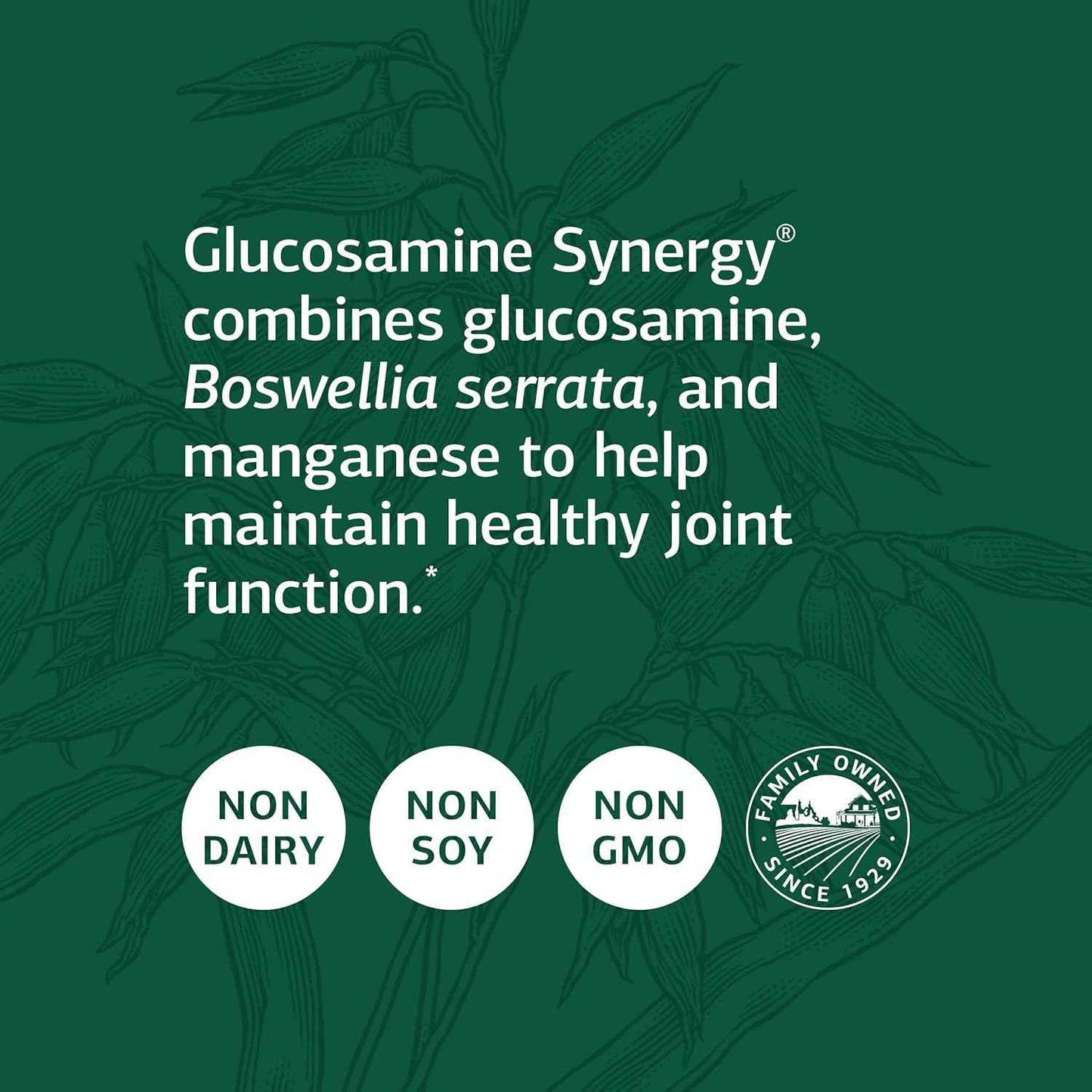 Whole Food Glucosamine Synergy Supplement for Joint Support - 90 Capsules with Cyanocobalamin, Cholecalciferol, Shiitake, Manganese, and Organic Carrots by Standard Process Inc.