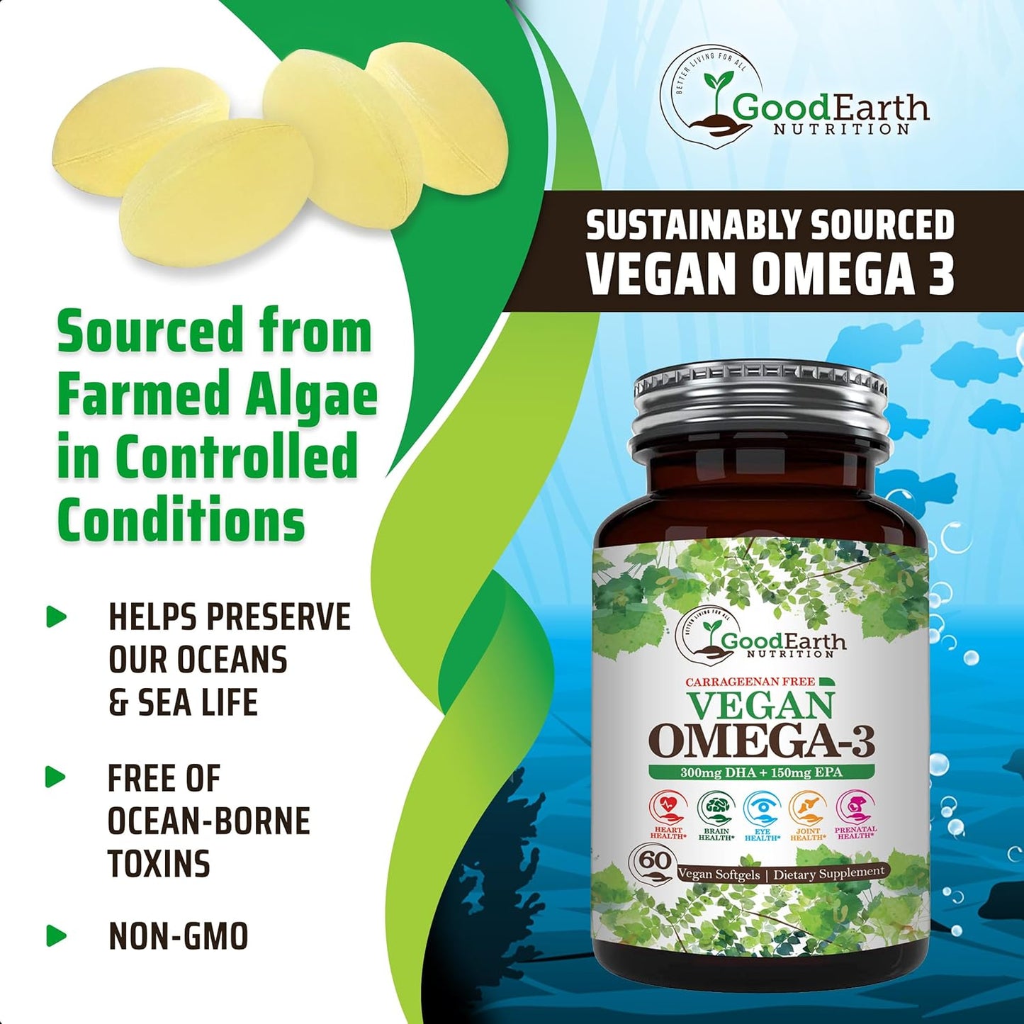 plant-based-algal-dhaepa-omega-3-softgels---carrageenan-free-vegan-supplement-for-brain-heart-joints-prenatal-health---60-veggie-capsules-4