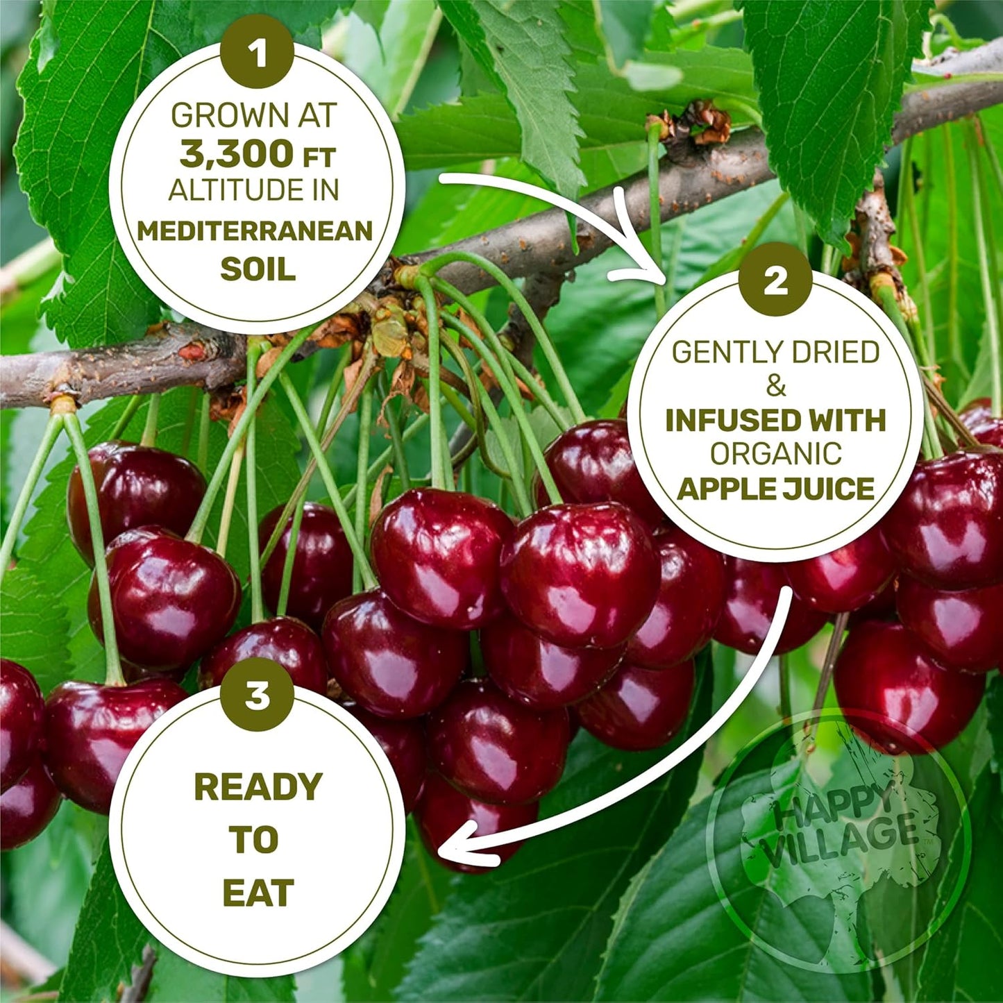 organic-whole-dried-tart-cherries---soft-juicy-15-oz-3-packs-of-5-oz-kosher-non-gmo-no-refined-sugar-organic-apple-juice-infused-5