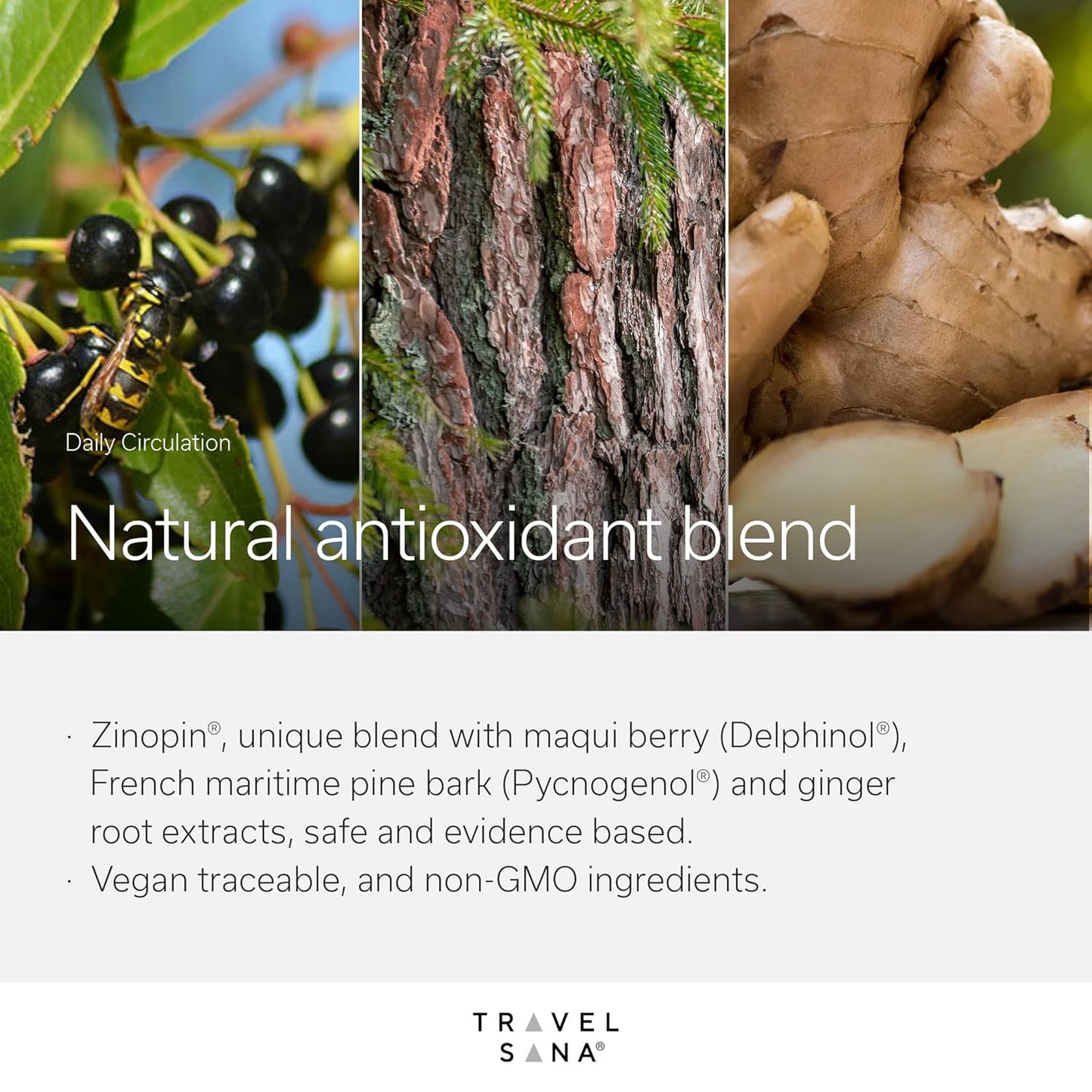 premium-daily-circulation-supplement-with-maqui-berry-pine-bark-extracts-for-inflammatory-response-antioxidant-support---10-day-supply-7