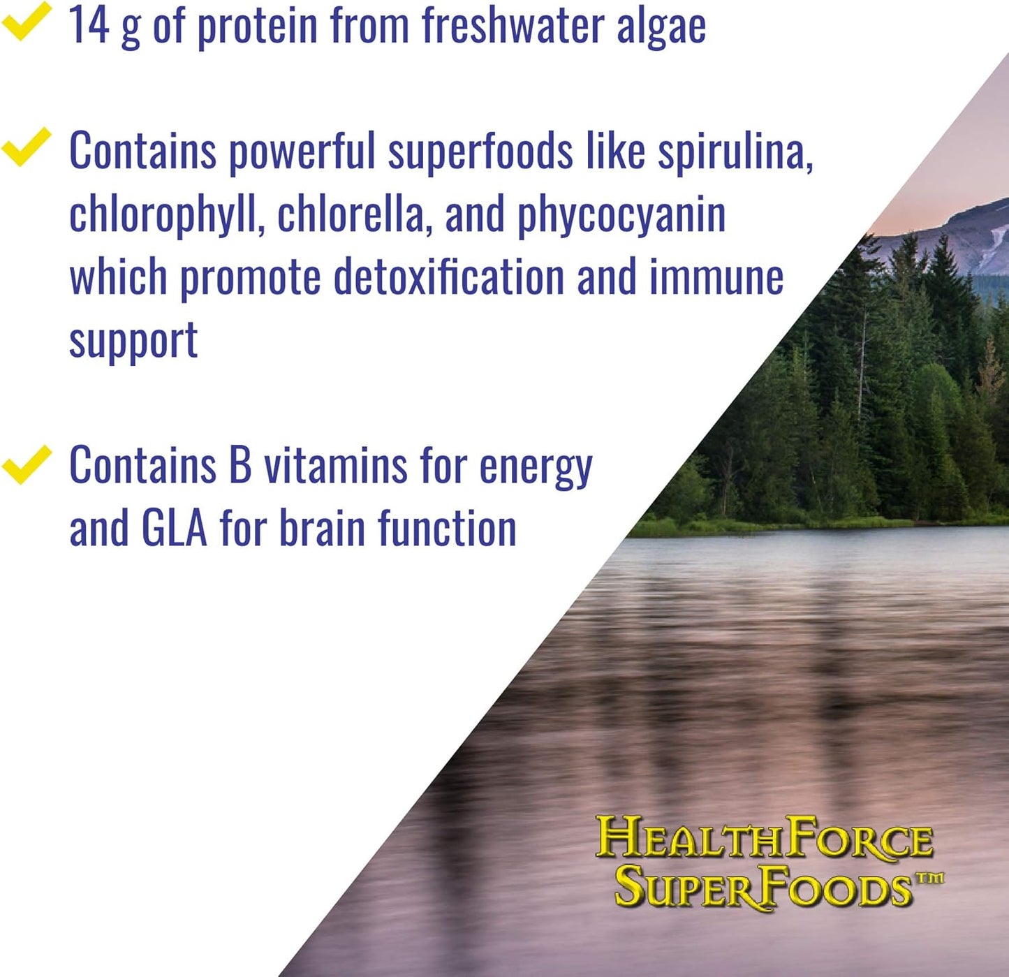 healthforce-superfoods-green-protein-alchemy-powder---500g-plant-based-protein-supplement-for-optimal-health-and-wellness-3