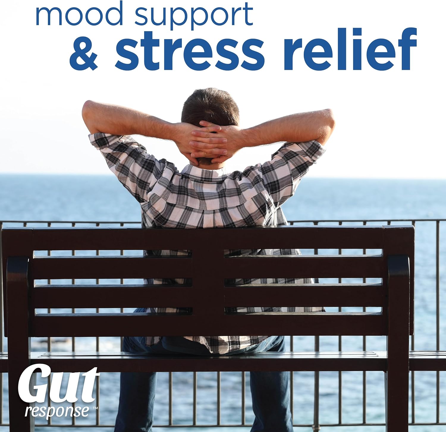 ashwagandha-l-glutamine-stress-probiotic-for-digestive-health-boosts-immunity-promotes-calmness---non-gmo-gluten-free-vegan---5-billion-cfu---30-caplets-6