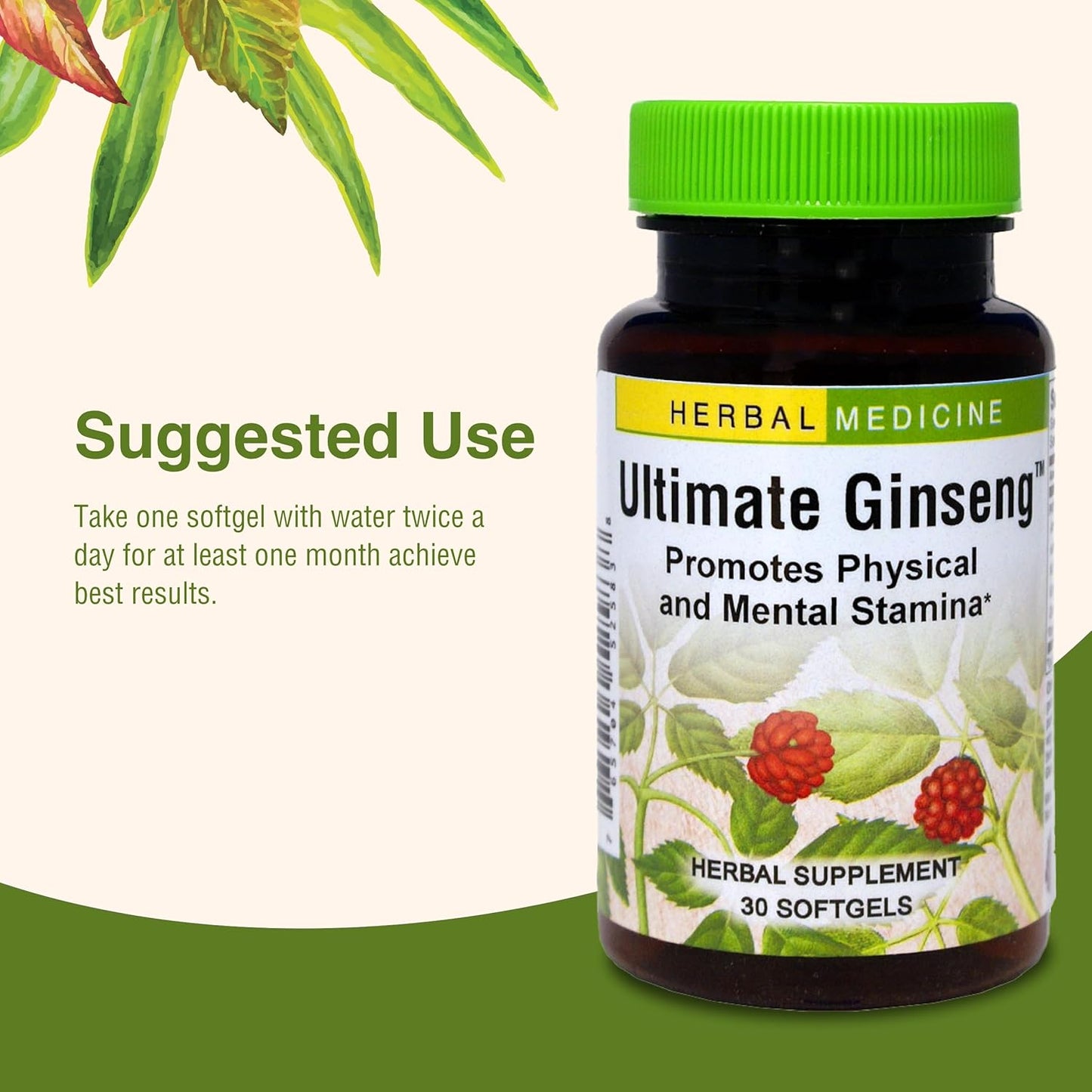 ultimate-ginseng-softgels-for-continuous-physical-activity-brain-health---daily-stamina-support---gluten-free---30-softgels-6