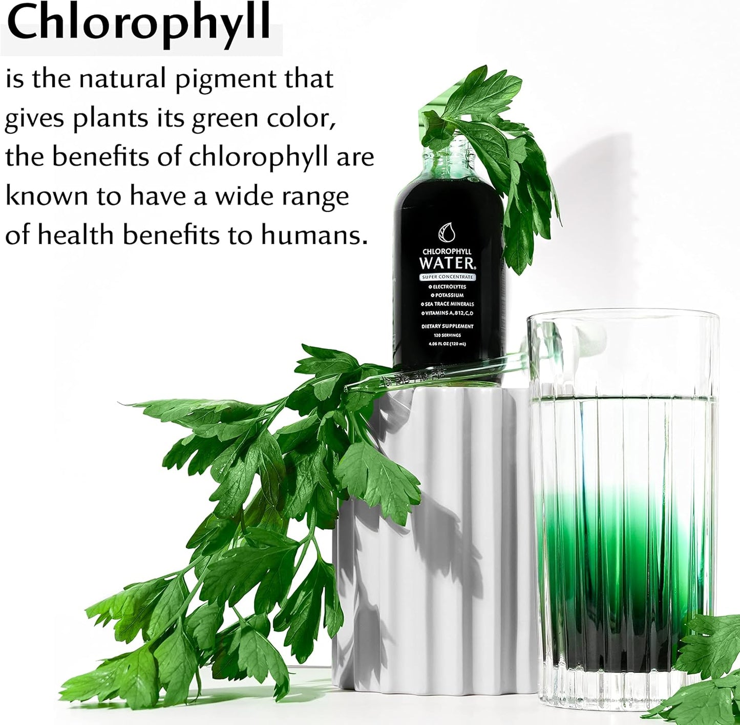 12000mg-chlorophyll-liquid-drops-for-water-with-electrolytes-sea-minerals-vitamins-non-gmo-antioxidants-for-detox-energy-immune-support-5
