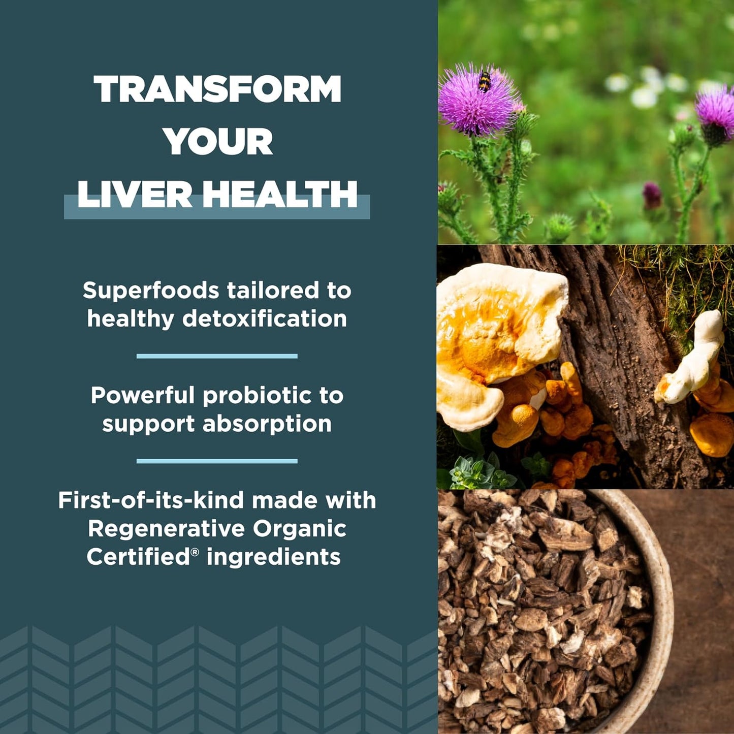 Organic Liver Cleanse Supplement with Milk Thistle, Burdock Root & Reishi - 90 Count, Gluten Free - Ancient Nutrition Liver Support Formula - Espot.com.au
