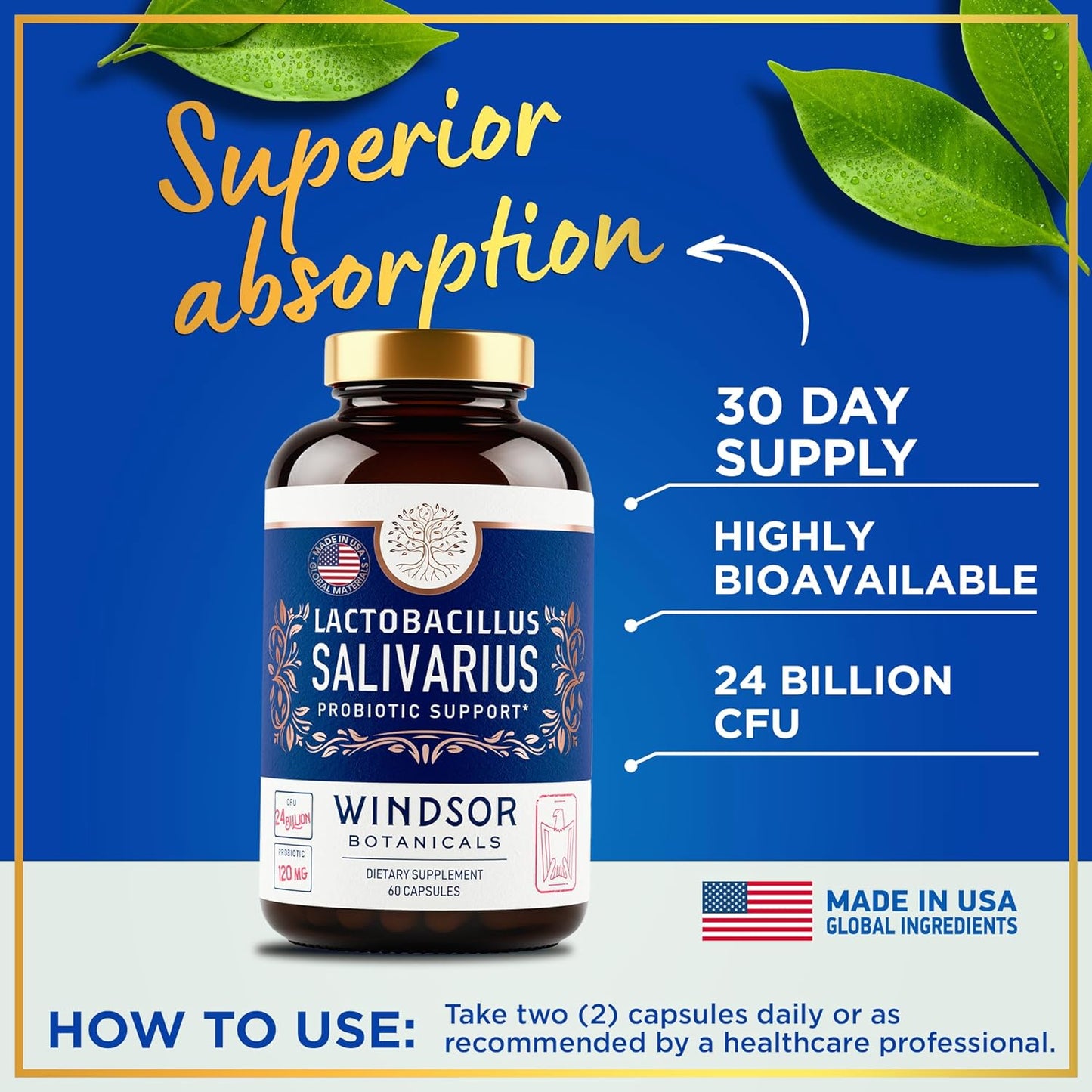 windsor-botanicals-lactobacillus-salivarius-probiotic-capsules---24bn-cfu-for-dental-health-bad-breath-treatment-immune-support-digestive-health---60-oral-probiotics-4