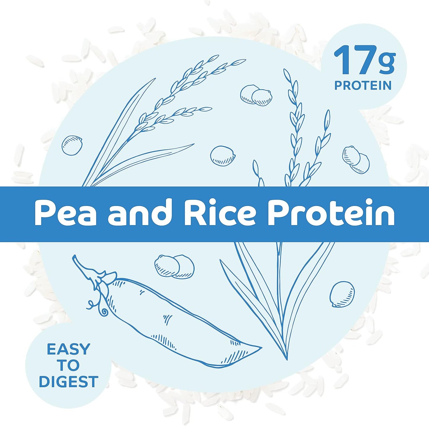 Chocolate Vegan Protein Powder | No Udder Protein | 17g Protein | Soy Free | 1lb Size - Espot.com.au