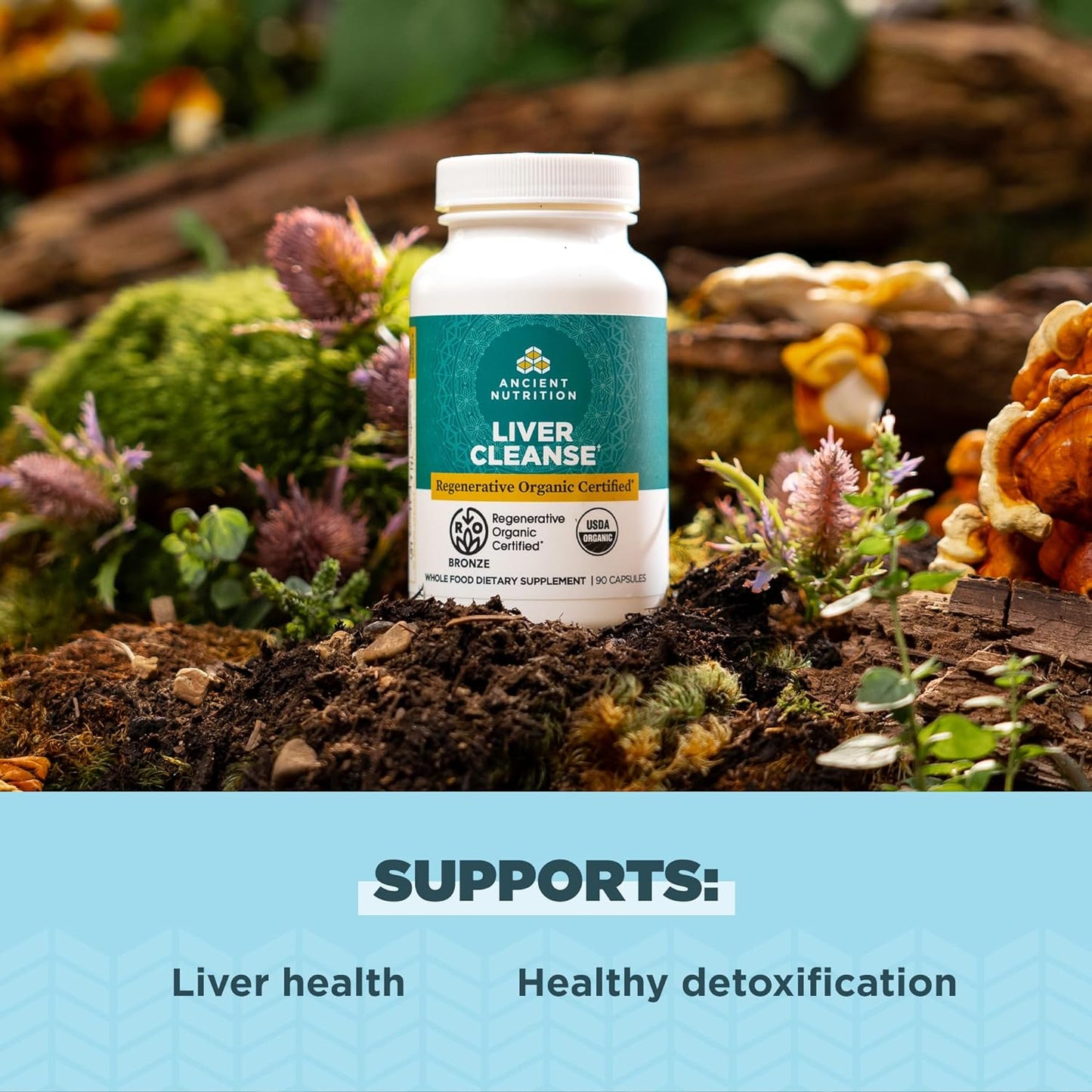 Organic Liver Cleanse Supplement with Milk Thistle, Burdock Root & Reishi - 90 Count, Gluten Free - Ancient Nutrition Liver Support Formula - Espot.com.au