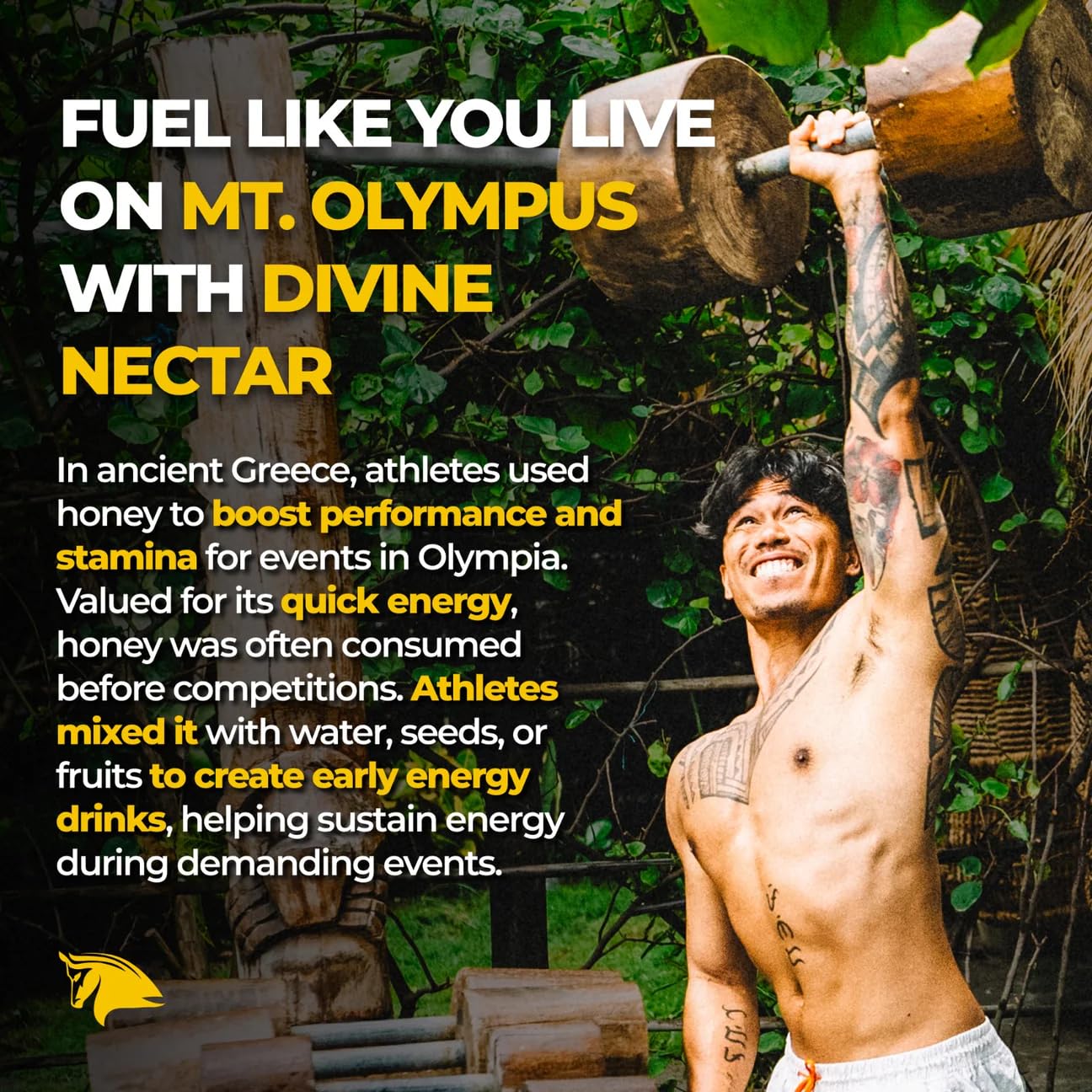 stampede-network-spartan-bee-bread-infused-heather-honey-boost-performance-recovery-and-vitality-100-raw-and-pure-honey-5