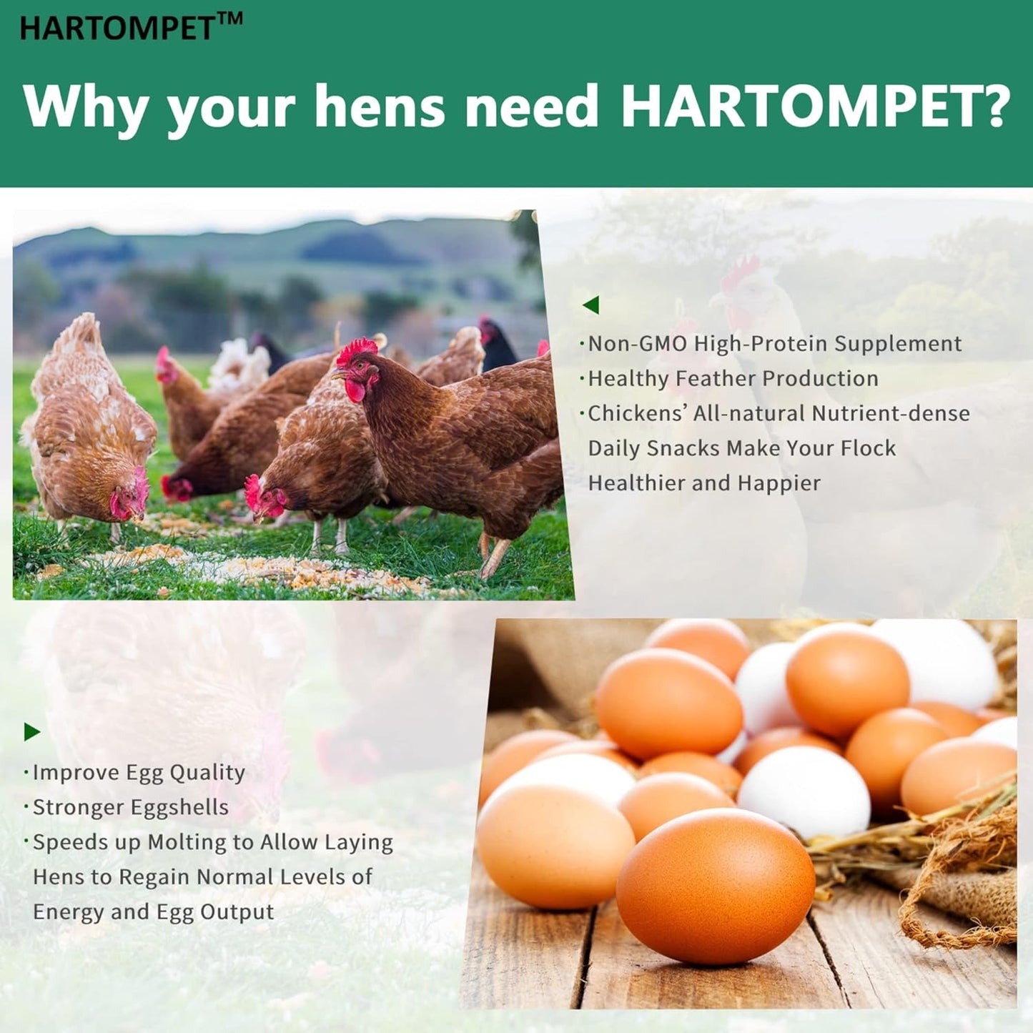 5-lbs-grubsfarm-hartompet-black-soldier-fly-larvae---high-calcium-chicken-feed-additive---non-gmo-treats-for-hens-ducks-wild-birds---superior-to-dried-mealworms-7